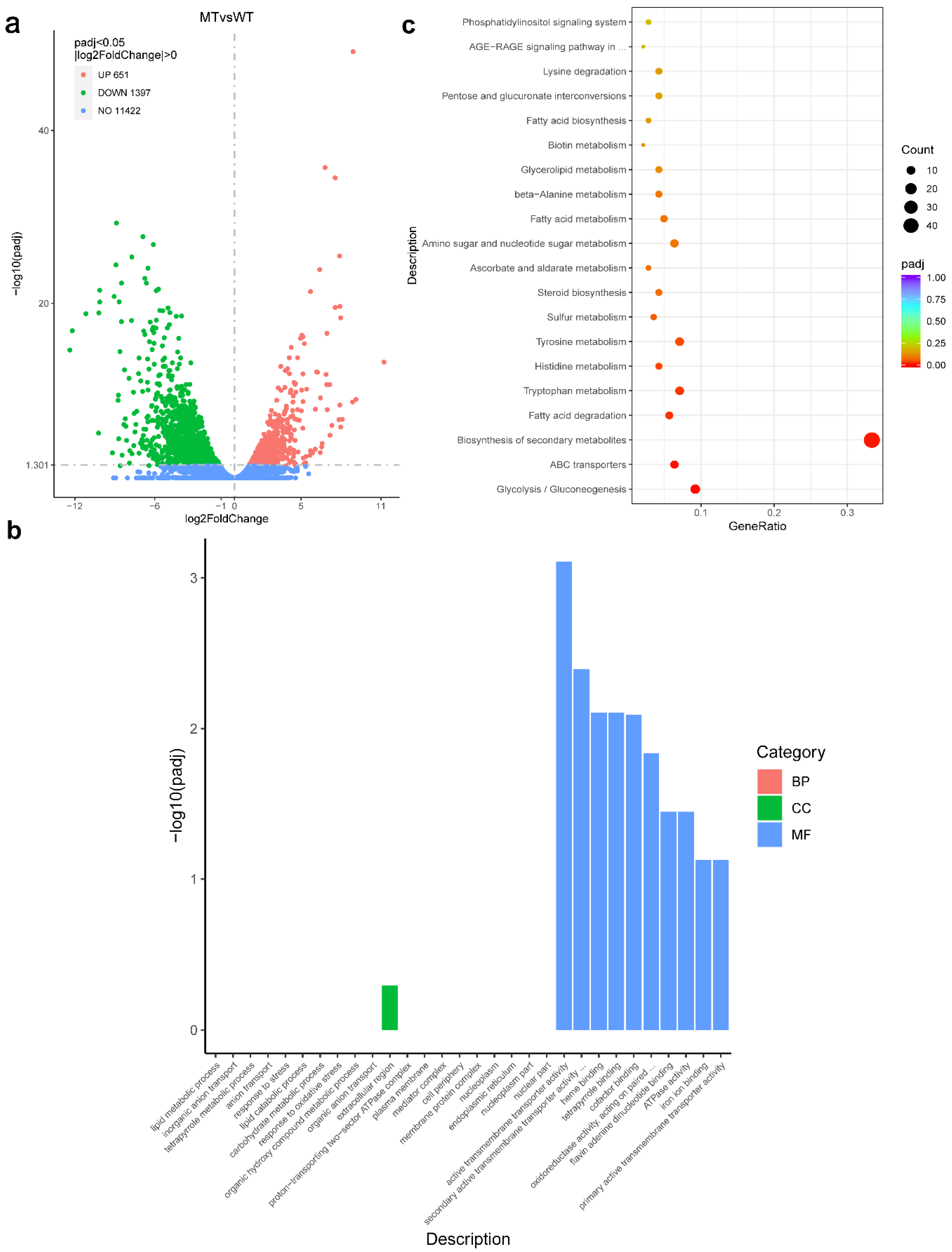 Biology 11 00326 g007 Biology 11 00326 g007