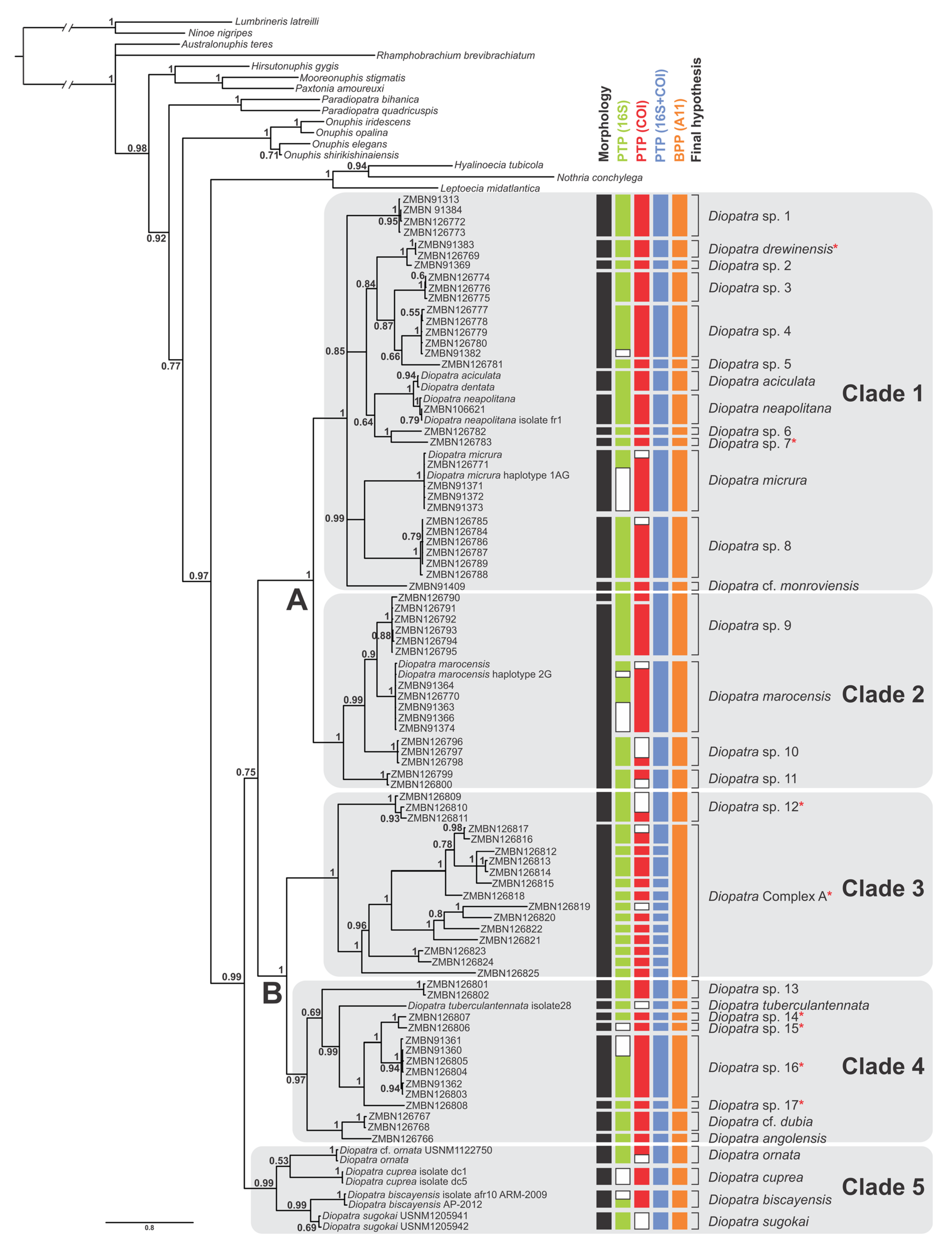 Biology 11 00327 g001 Biology 11 00327 g001