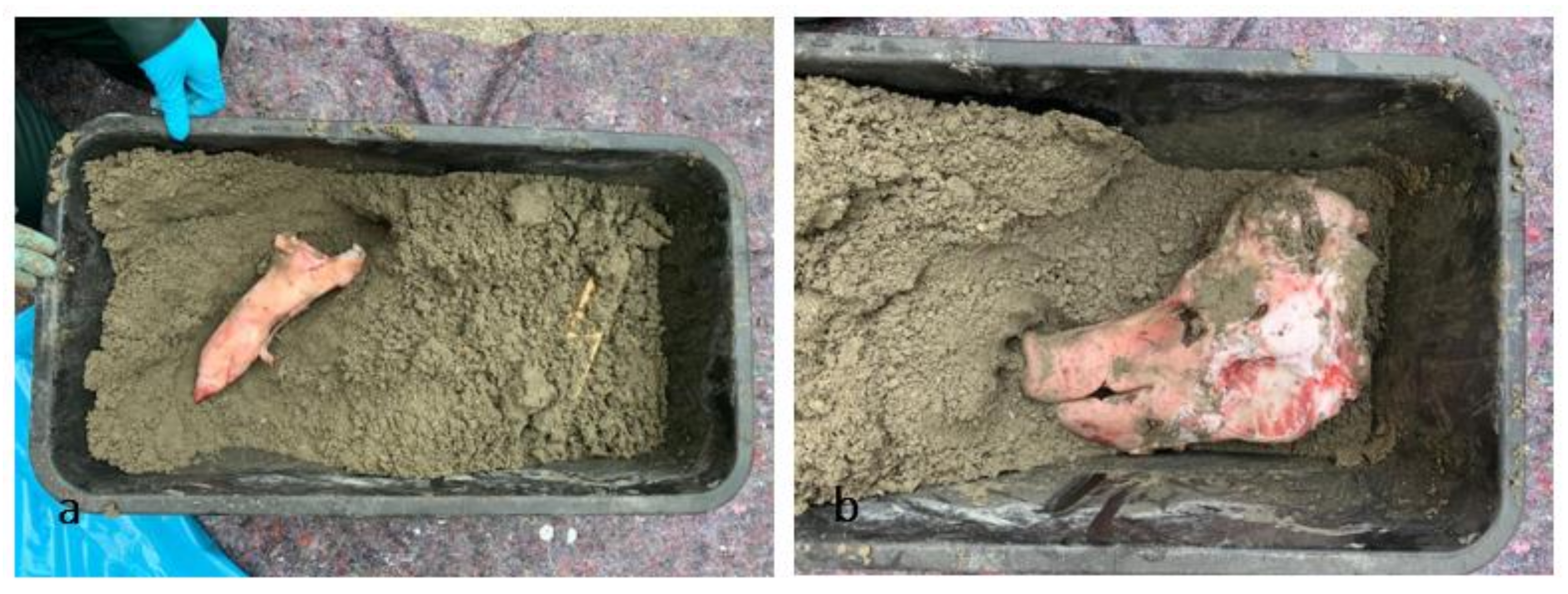 Biology 11 00328 g002 550