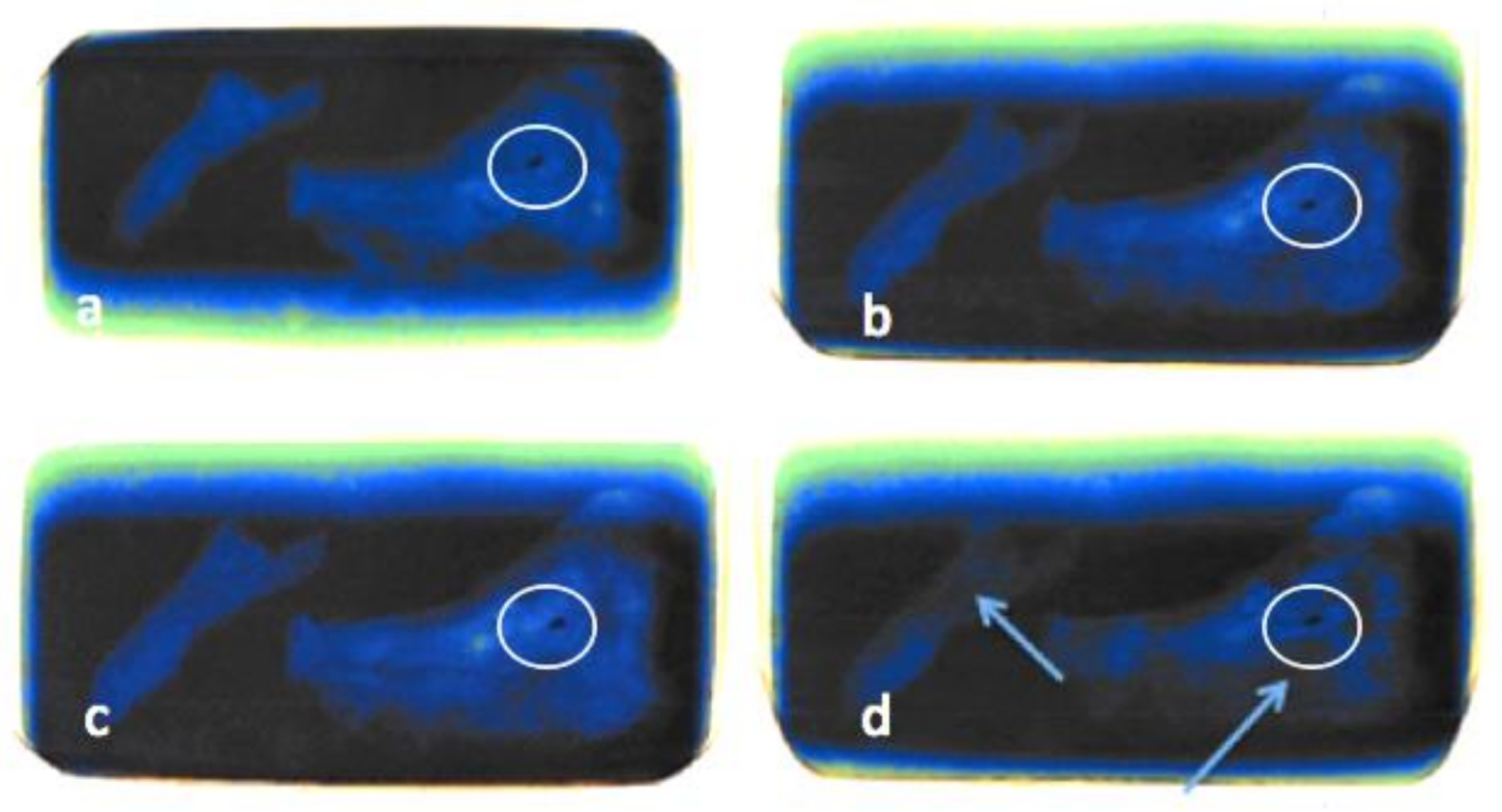 Biology 11 00328 g005 550