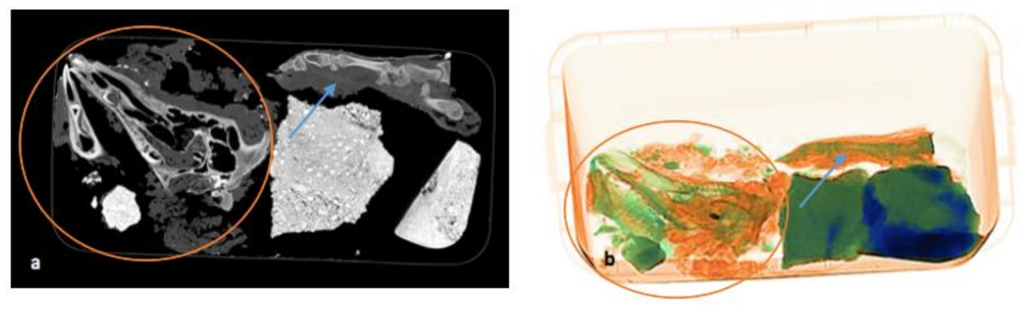 Biology 11 00328 g007 550