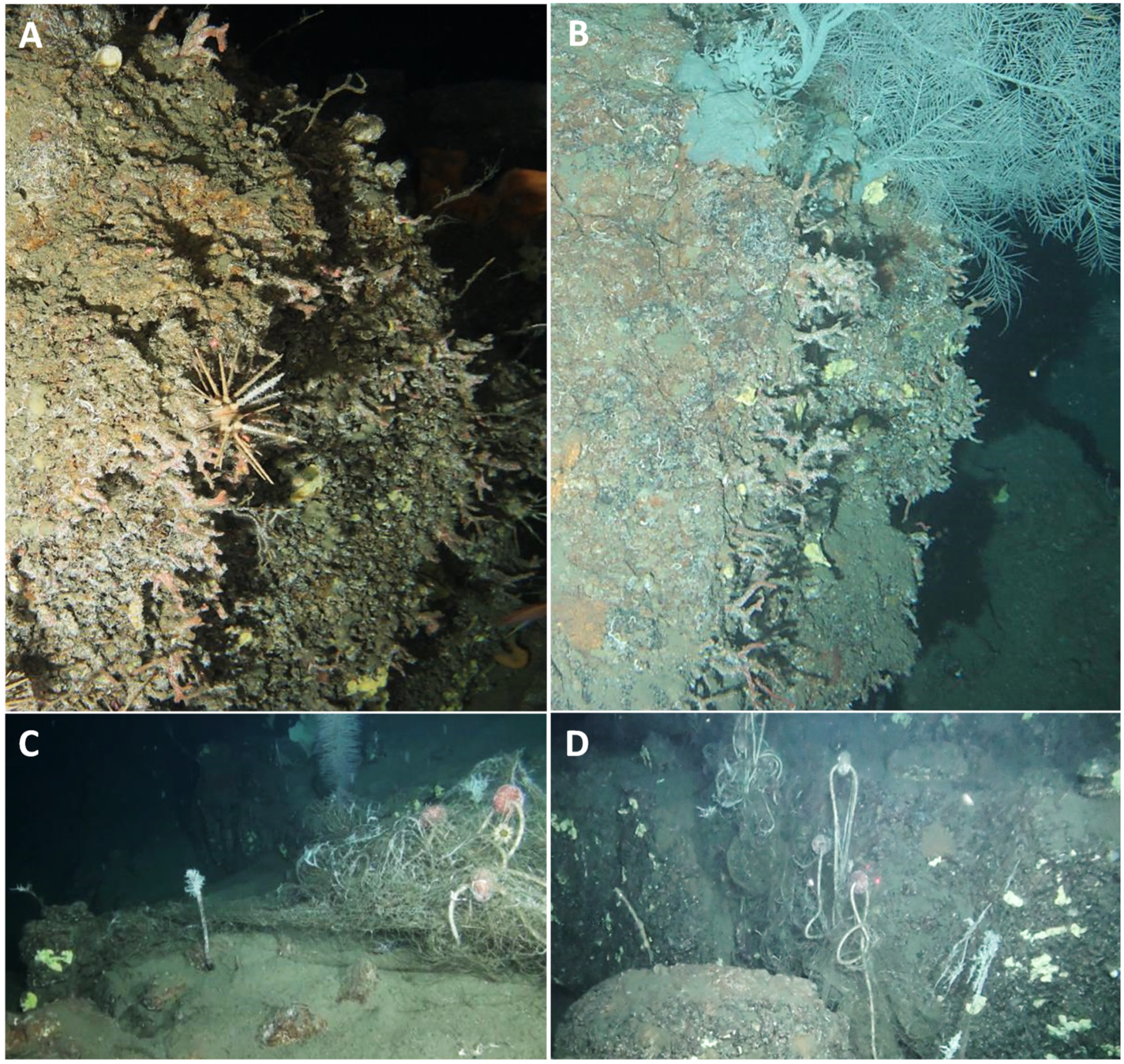 Biology 11 00333 g007 Biology 11 00333 g007