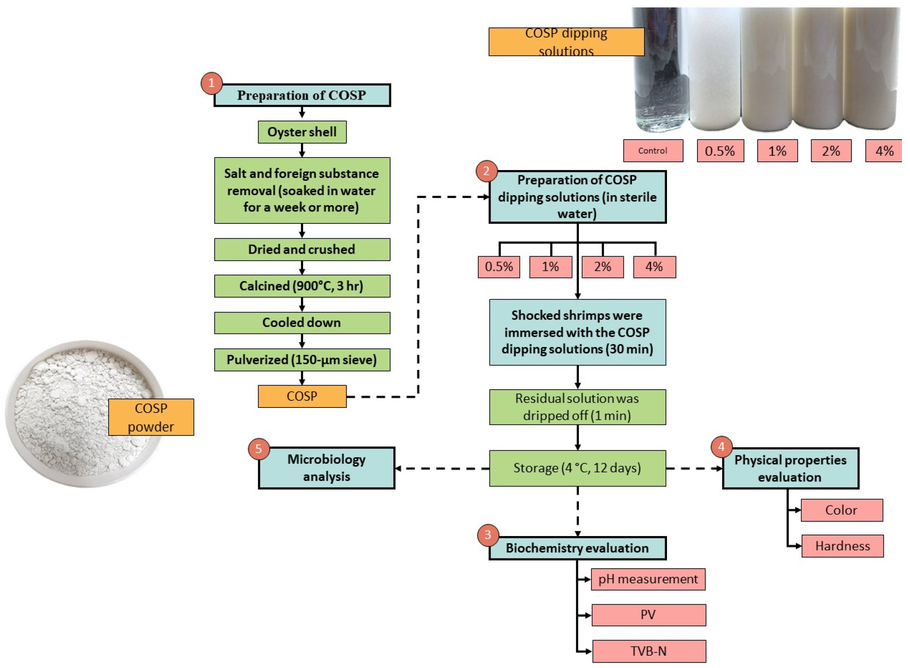 Biology 11 00334 g002