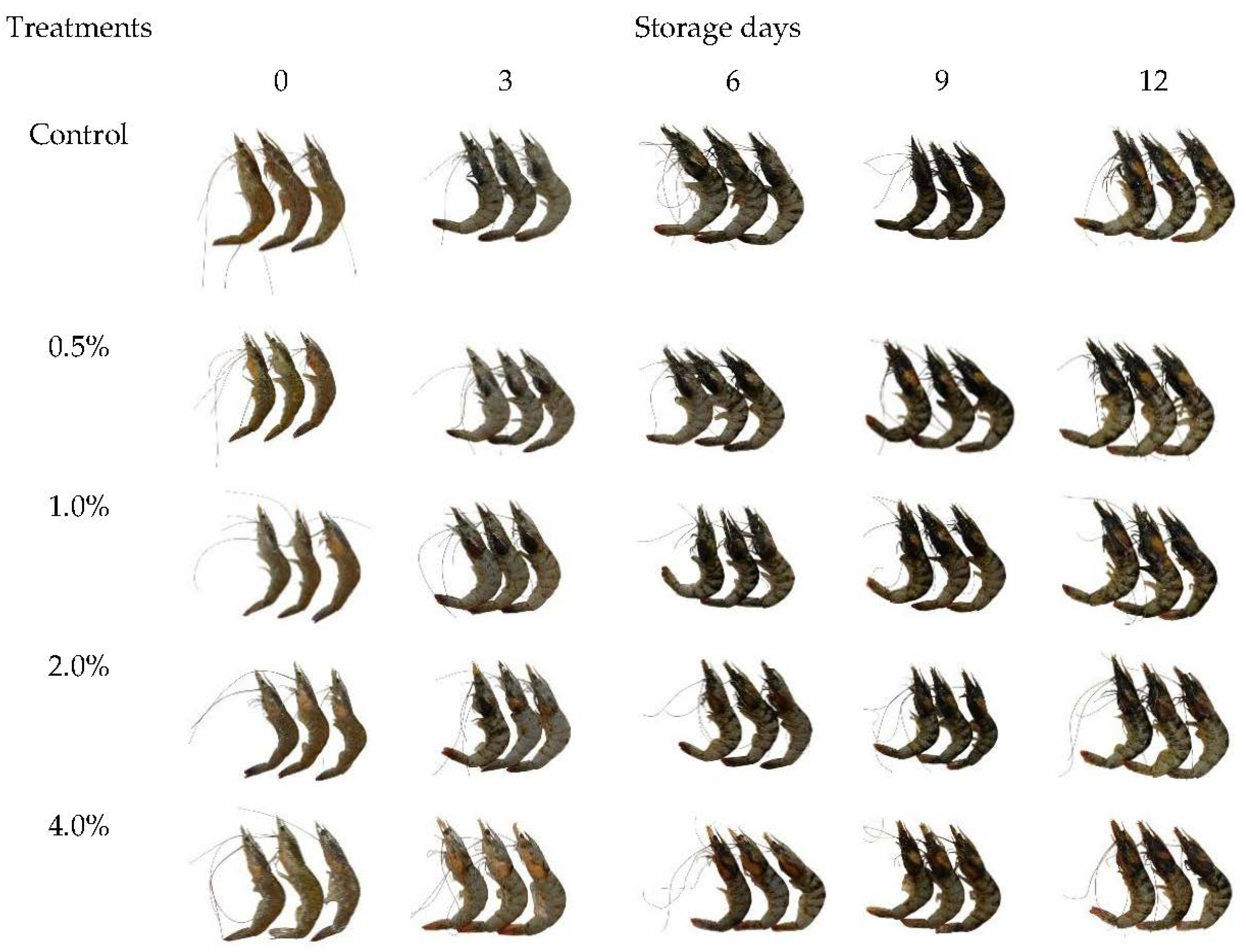 Biology 11 00334 g008