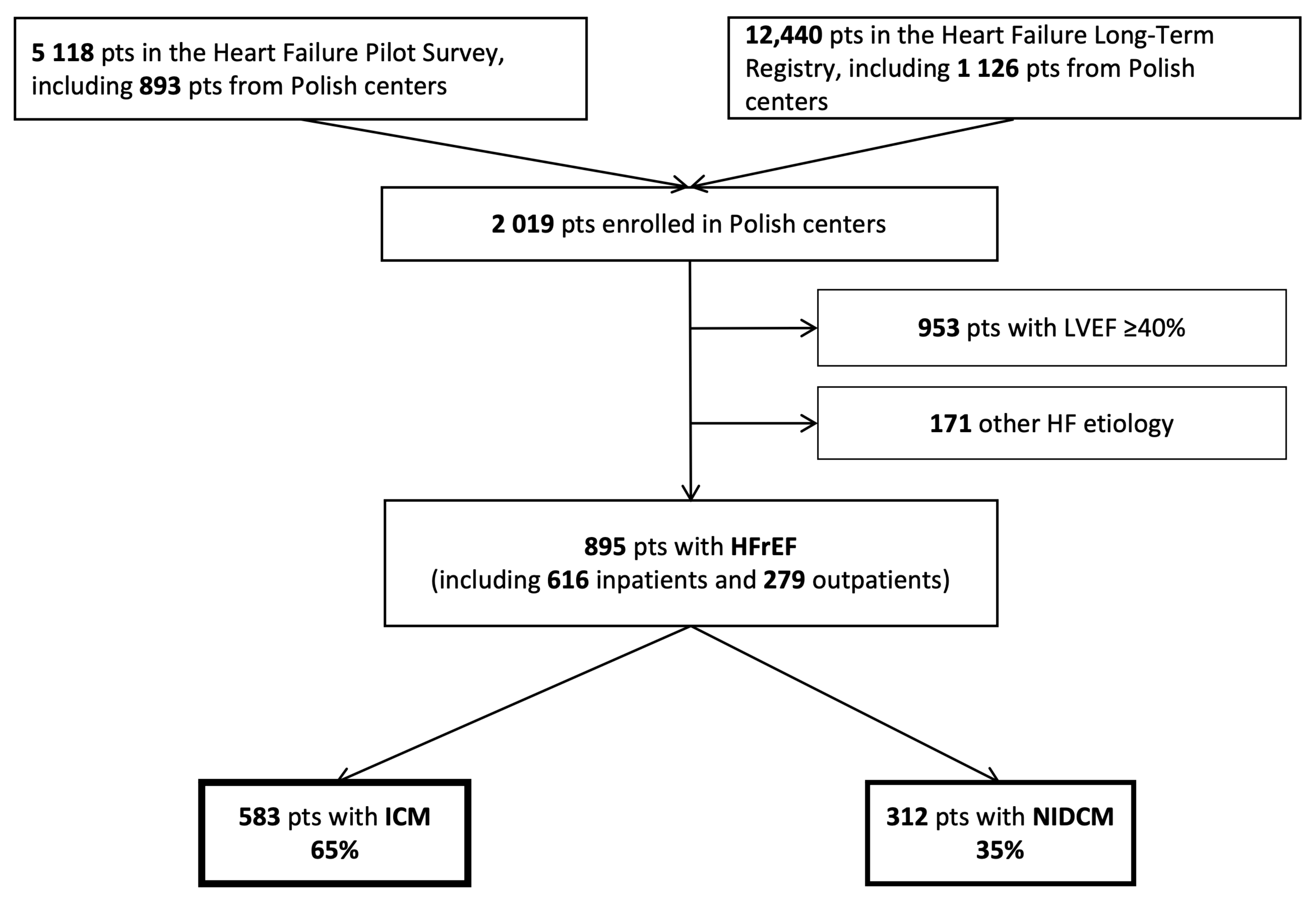 Biology 11 00341 g001