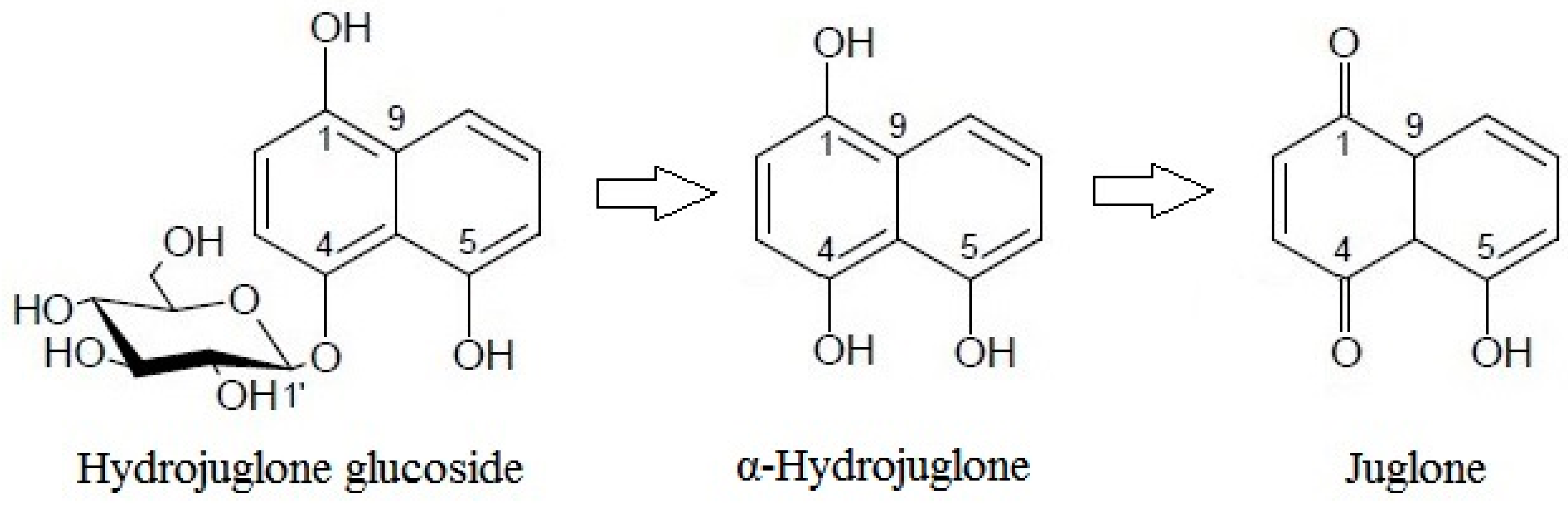 Biology 11 00342 g003