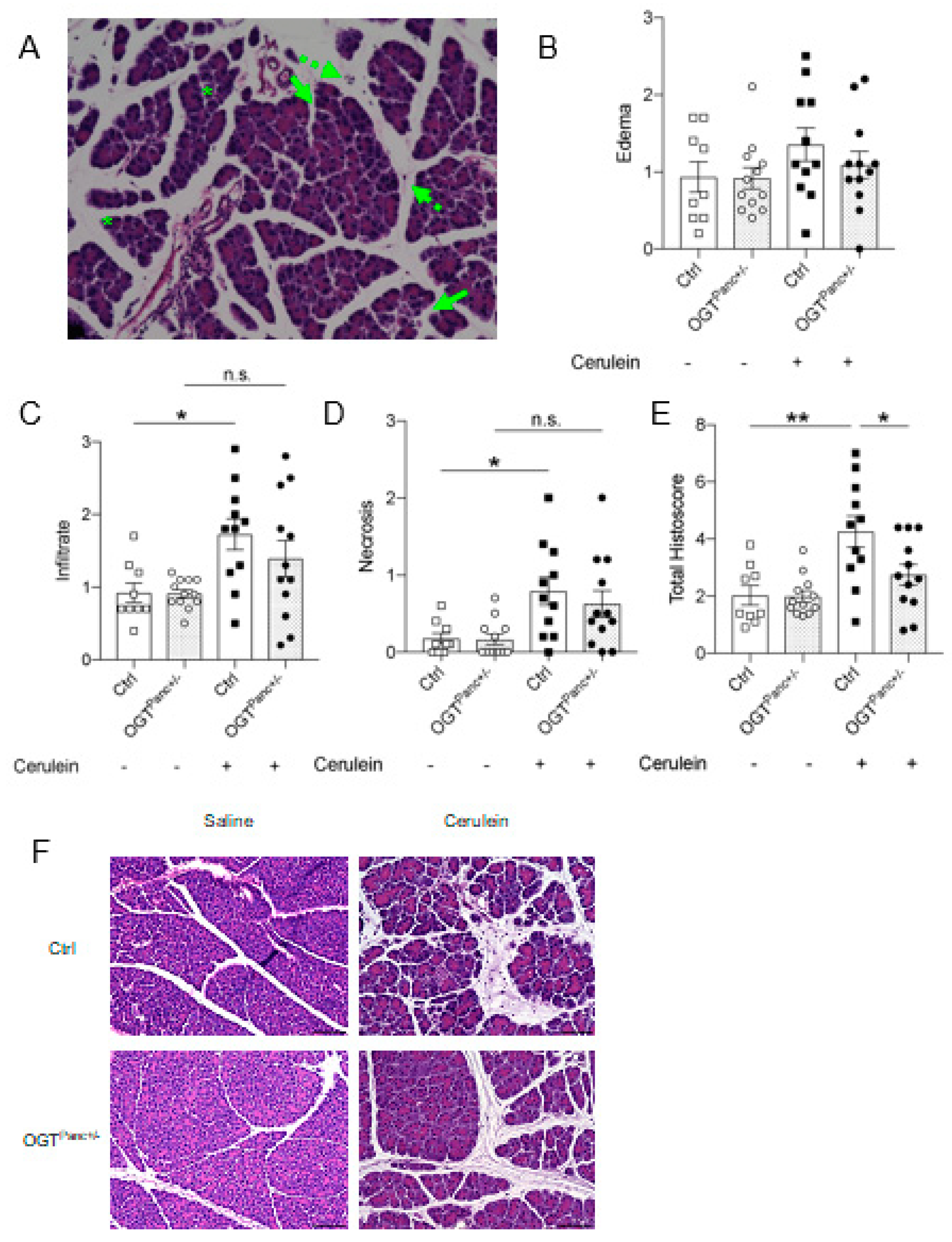 Biology 11 00347 g002 Biology 11 00347 g002