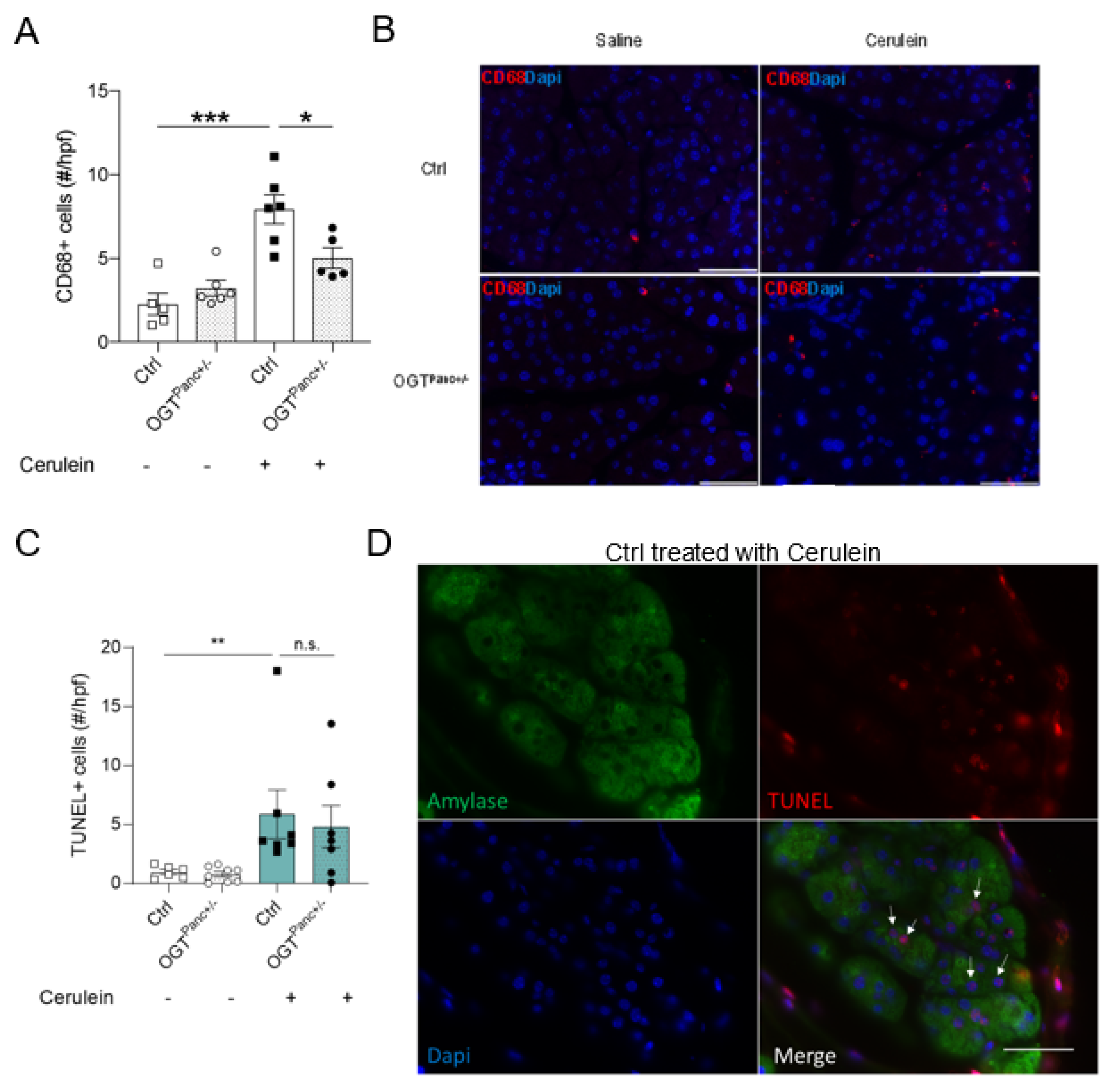 Biology 11 00347 g004 Biology 11 00347 g004