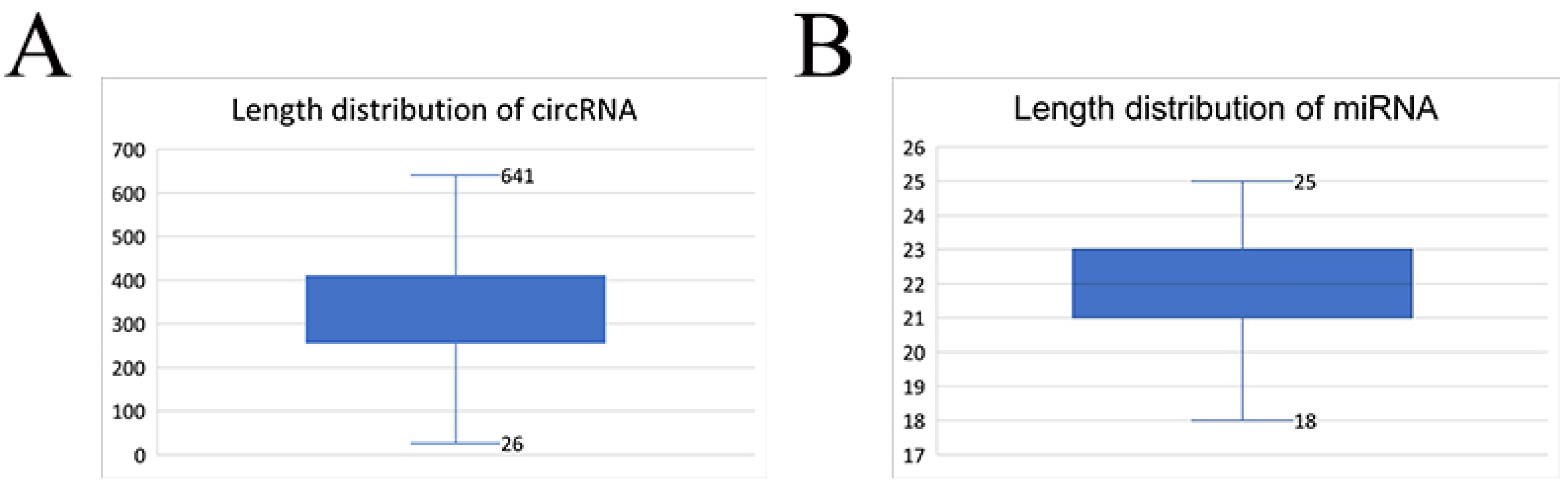 Non-Coding Transcriptome Provides Novel Insights into the