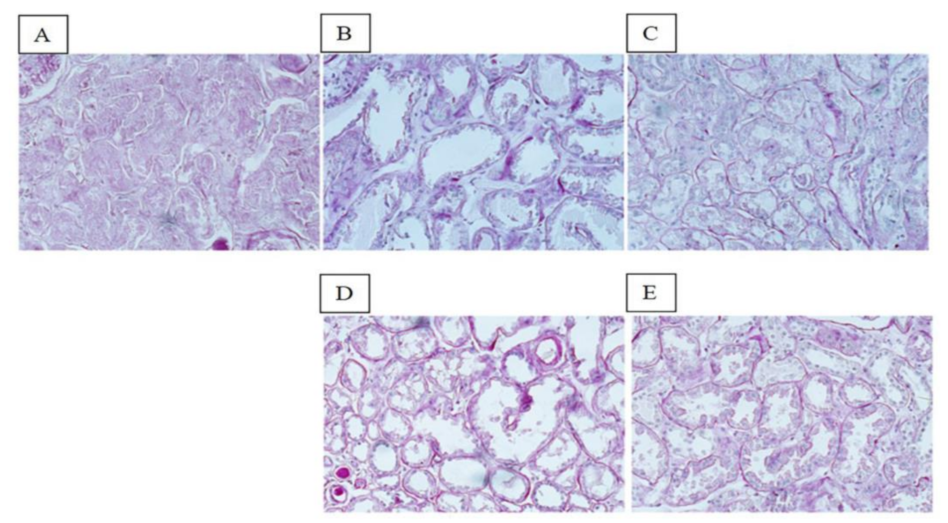 Biology 11 00350 g002 Biology 11 00350 g002