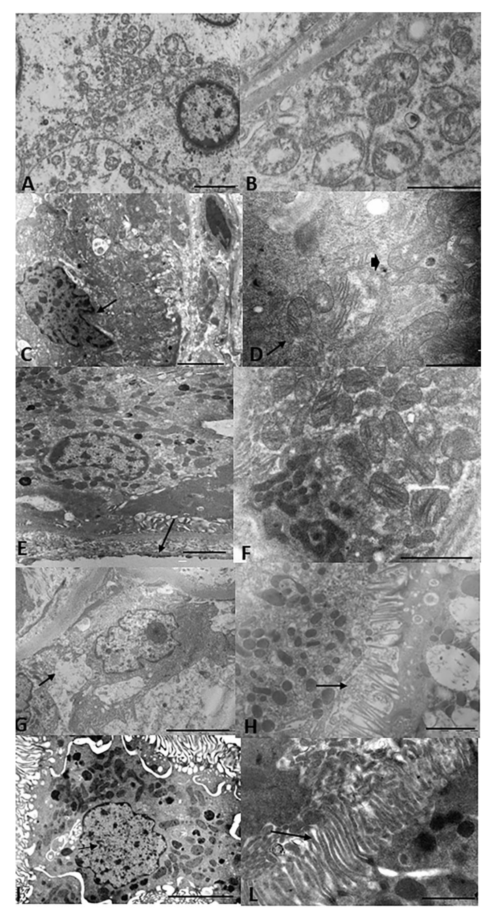 Biology 11 00350 g003 Biology 11 00350 g003