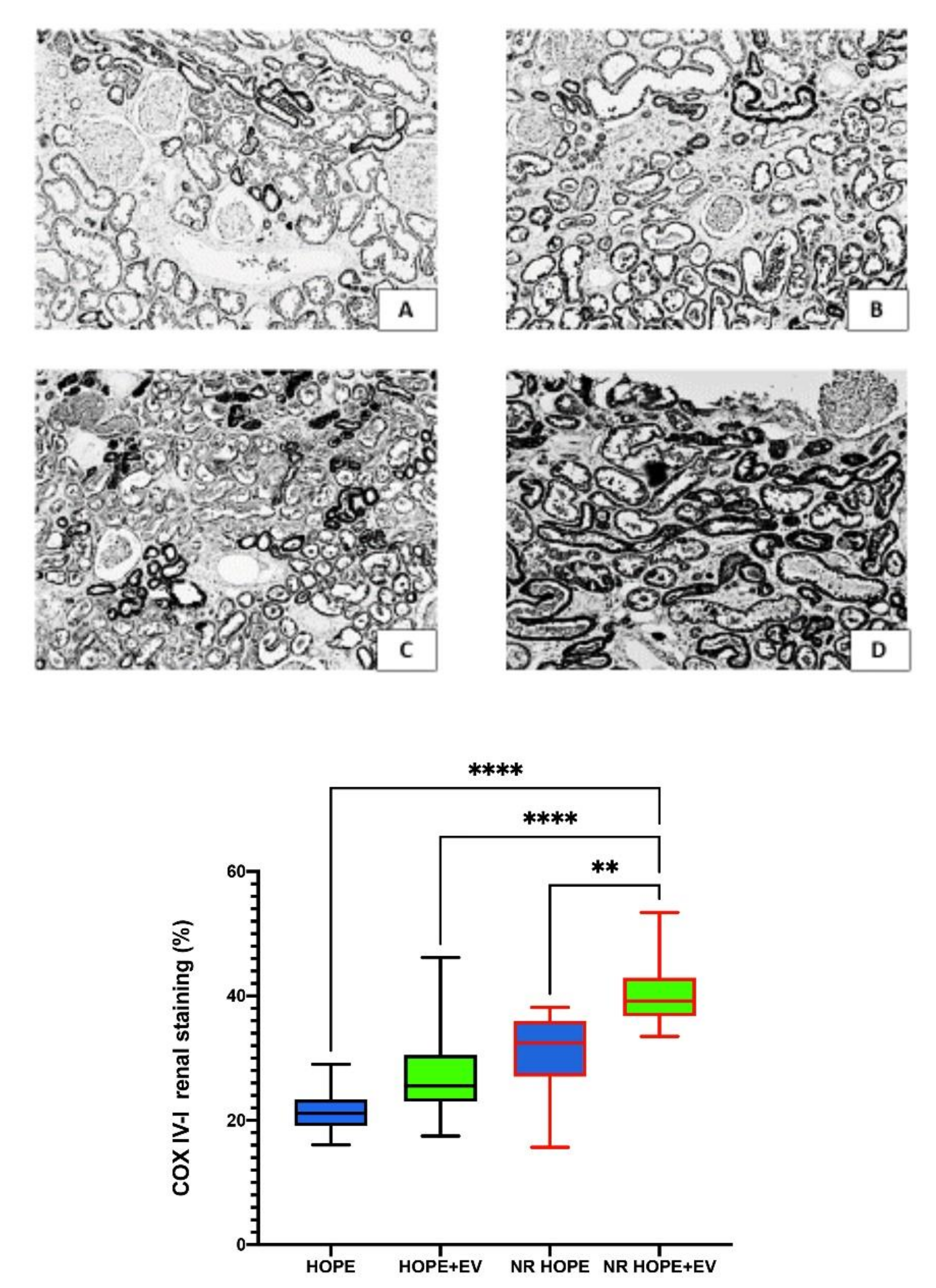 Biology 11 00350 g004 Biology 11 00350 g004