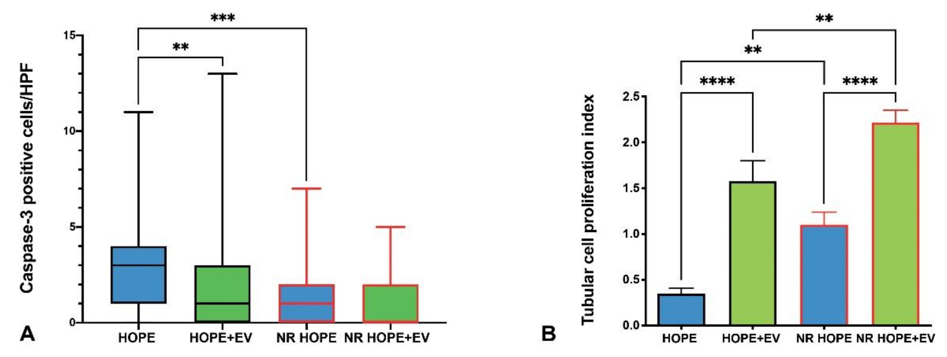 Biology 11 00350 g005 Biology 11 00350 g005