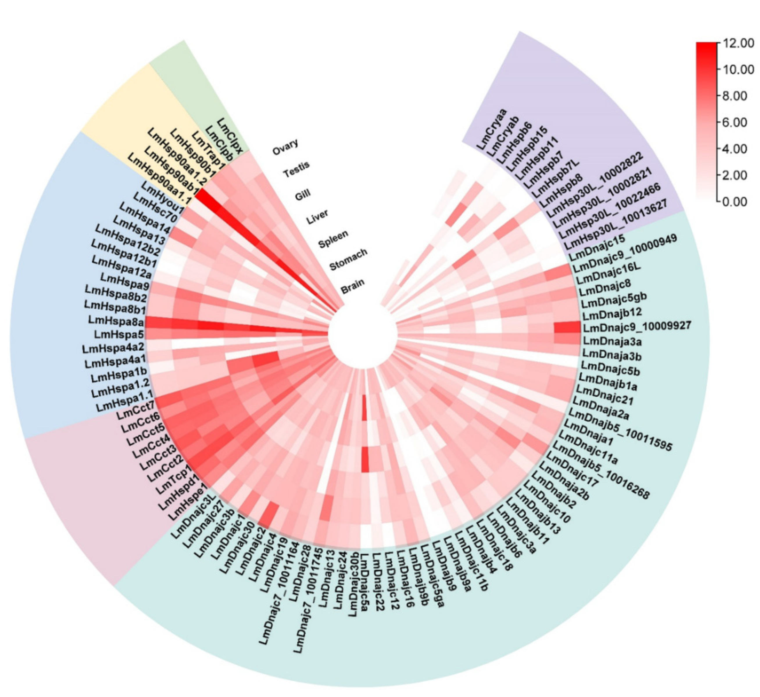 Biology 11 00353 g003