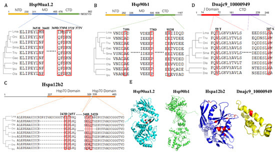 Genomic and Transcriptomic Landscape and Evolutionary