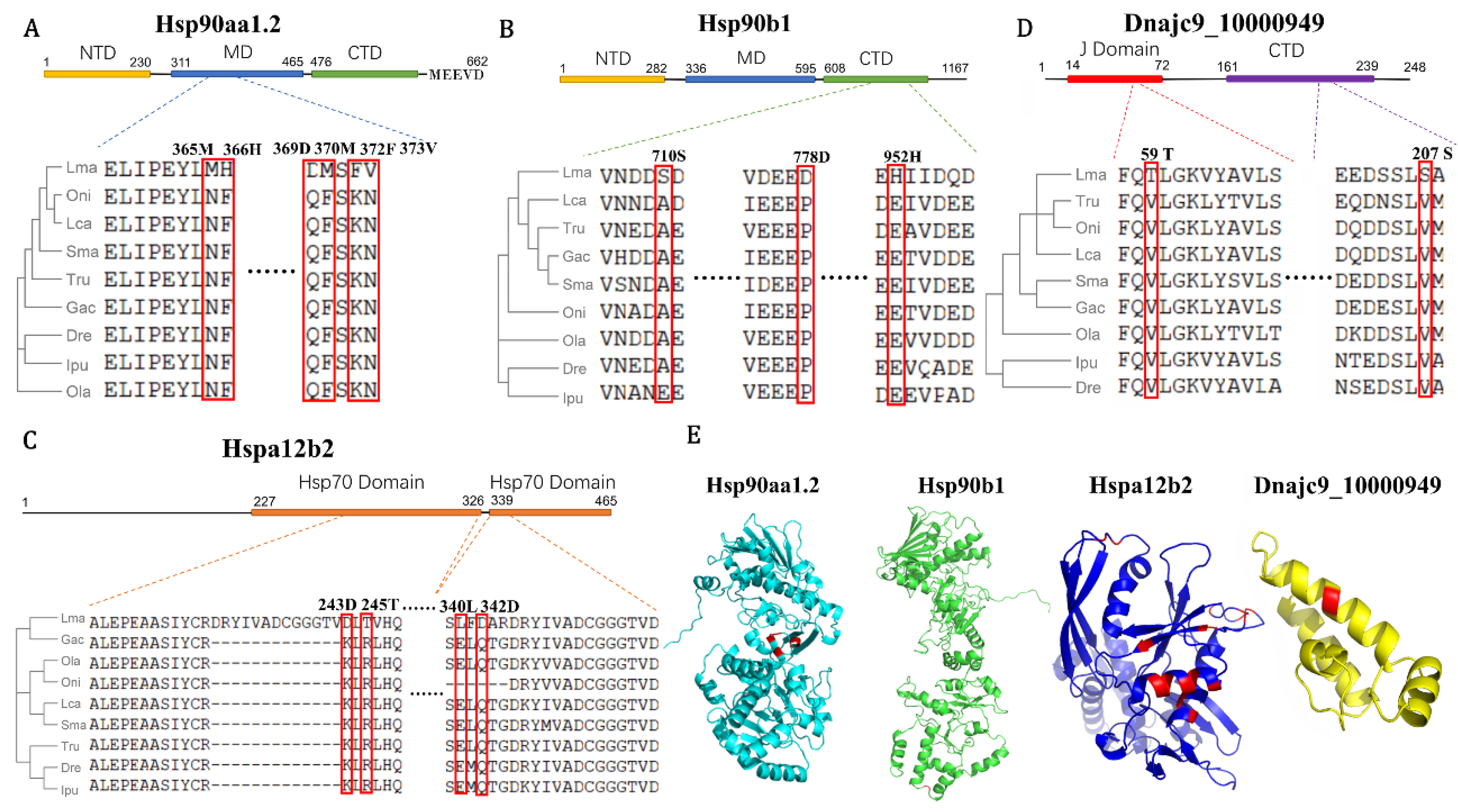 Biology 11 00353 g007