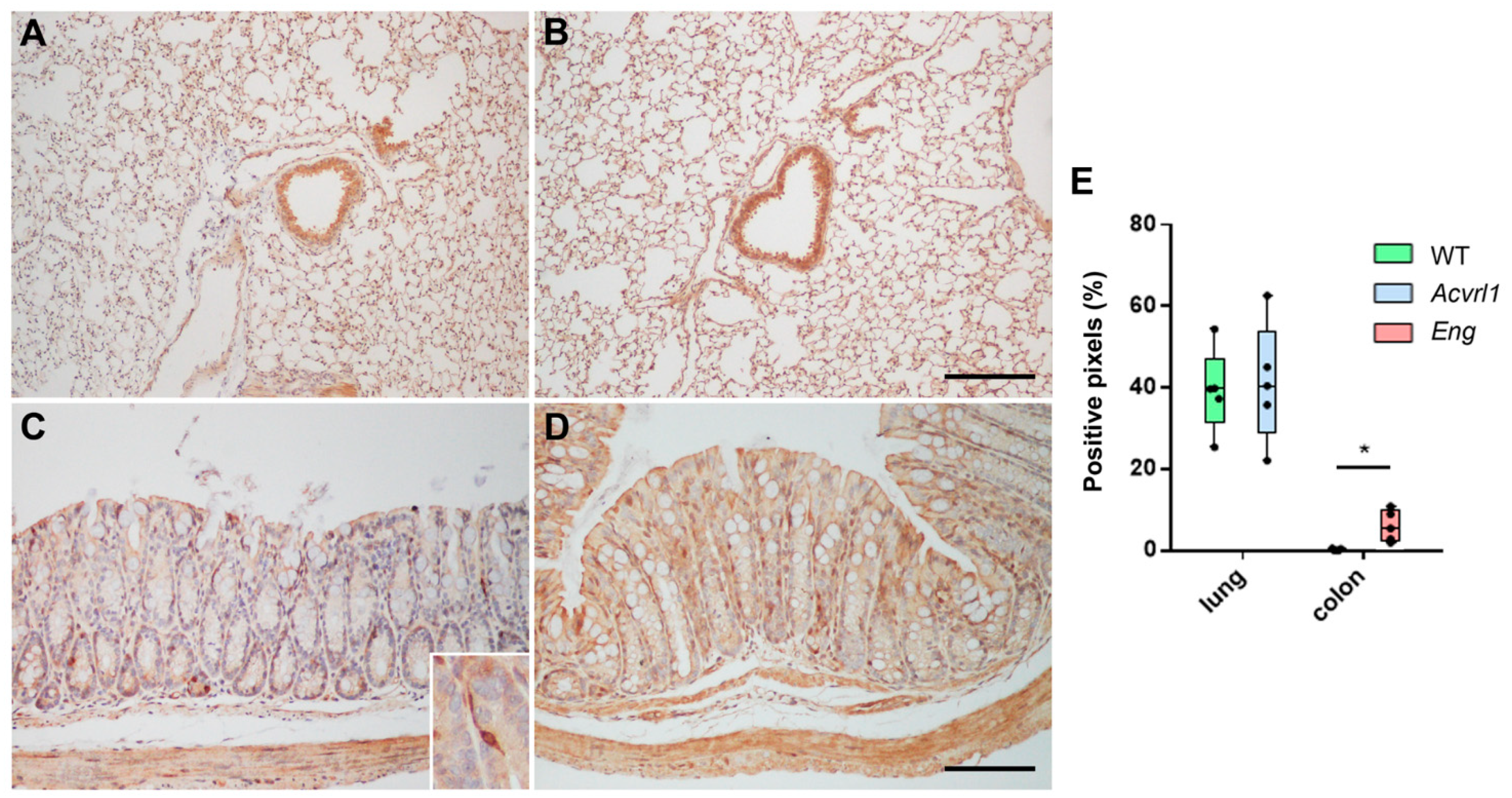 Biology 11 00358 g004 Biology 11 00358 g004