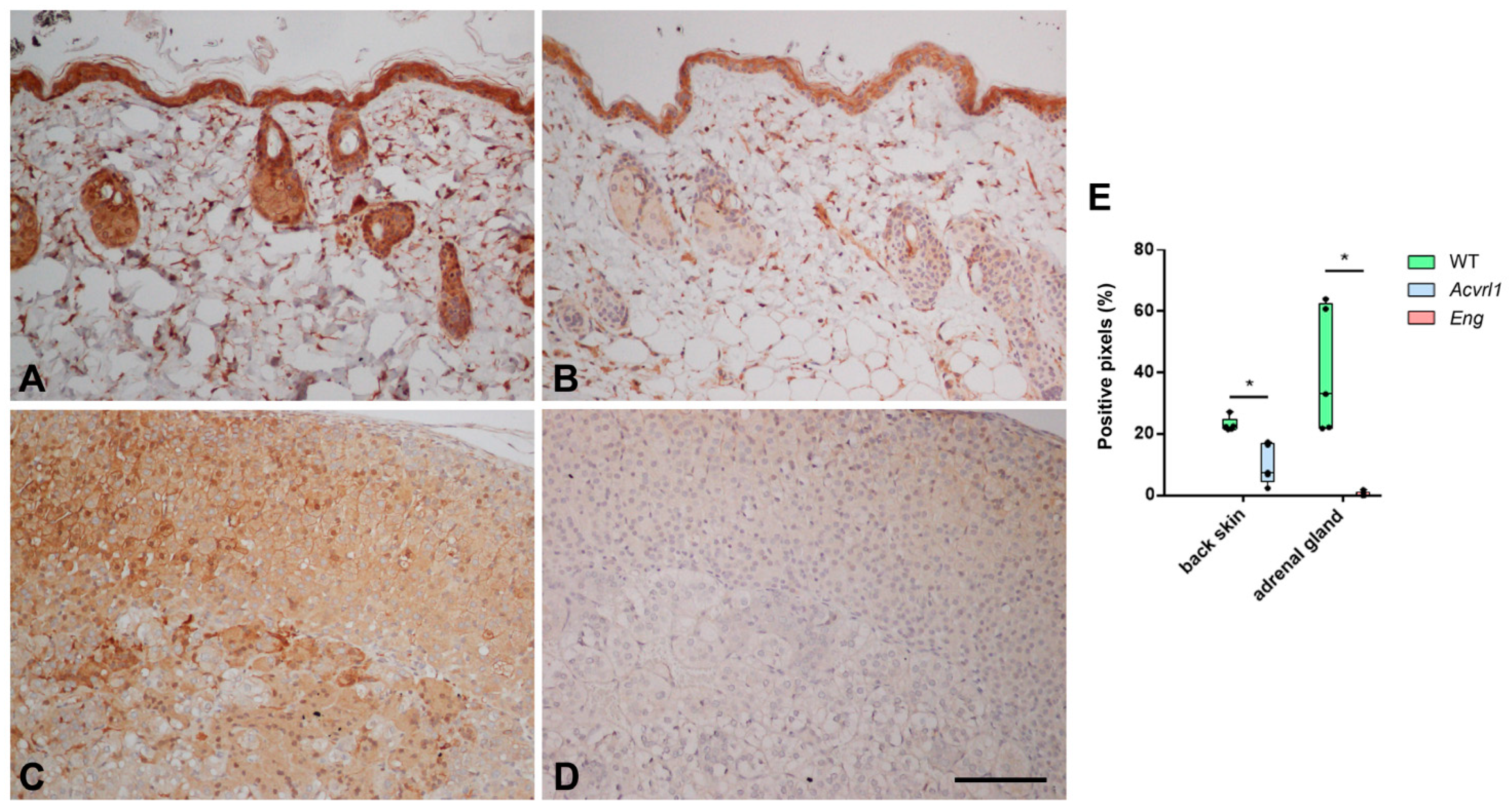 Biology 11 00358 g007 Biology 11 00358 g007
