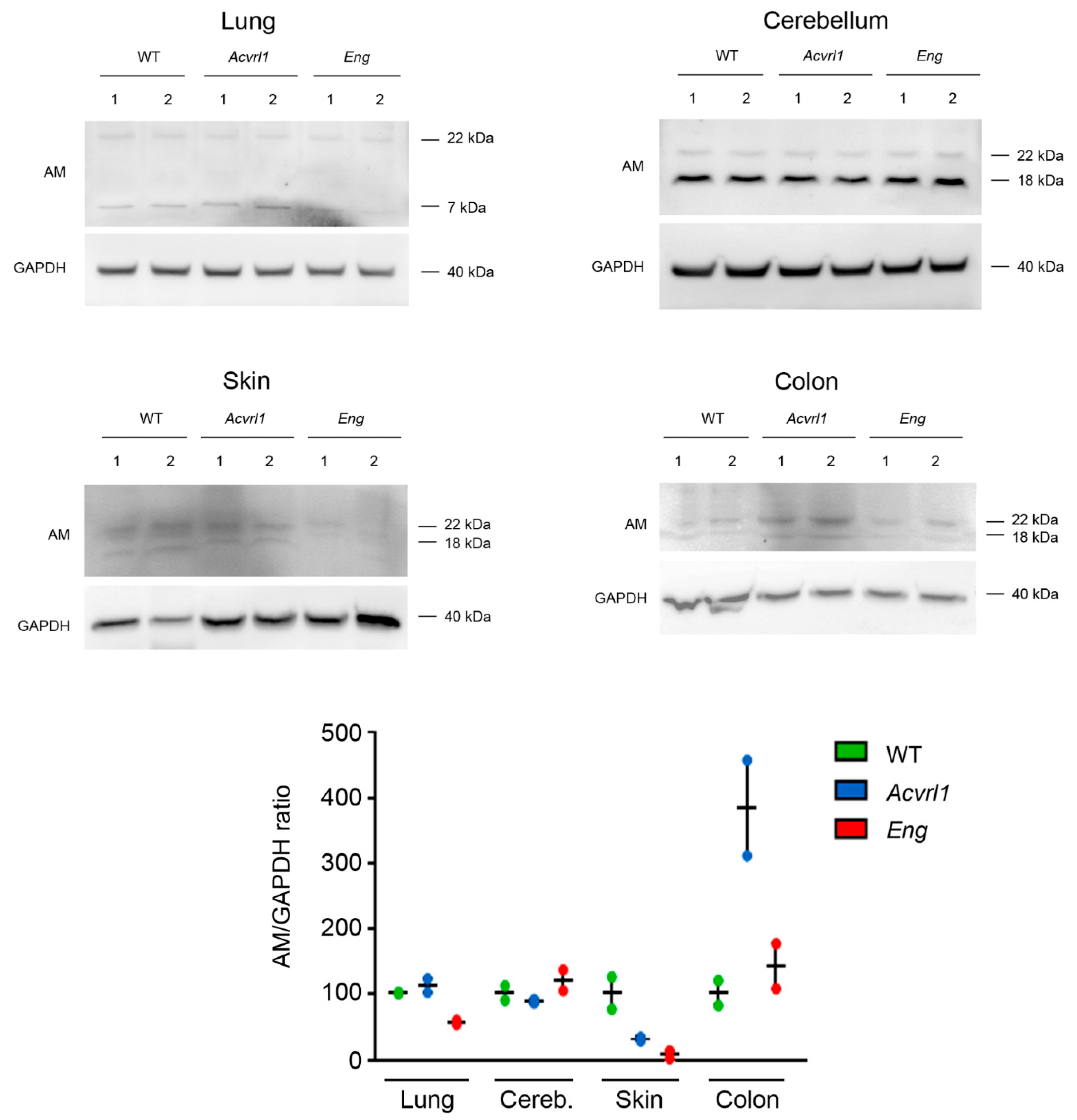 Biology 11 00358 g010 Biology 11 00358 g010