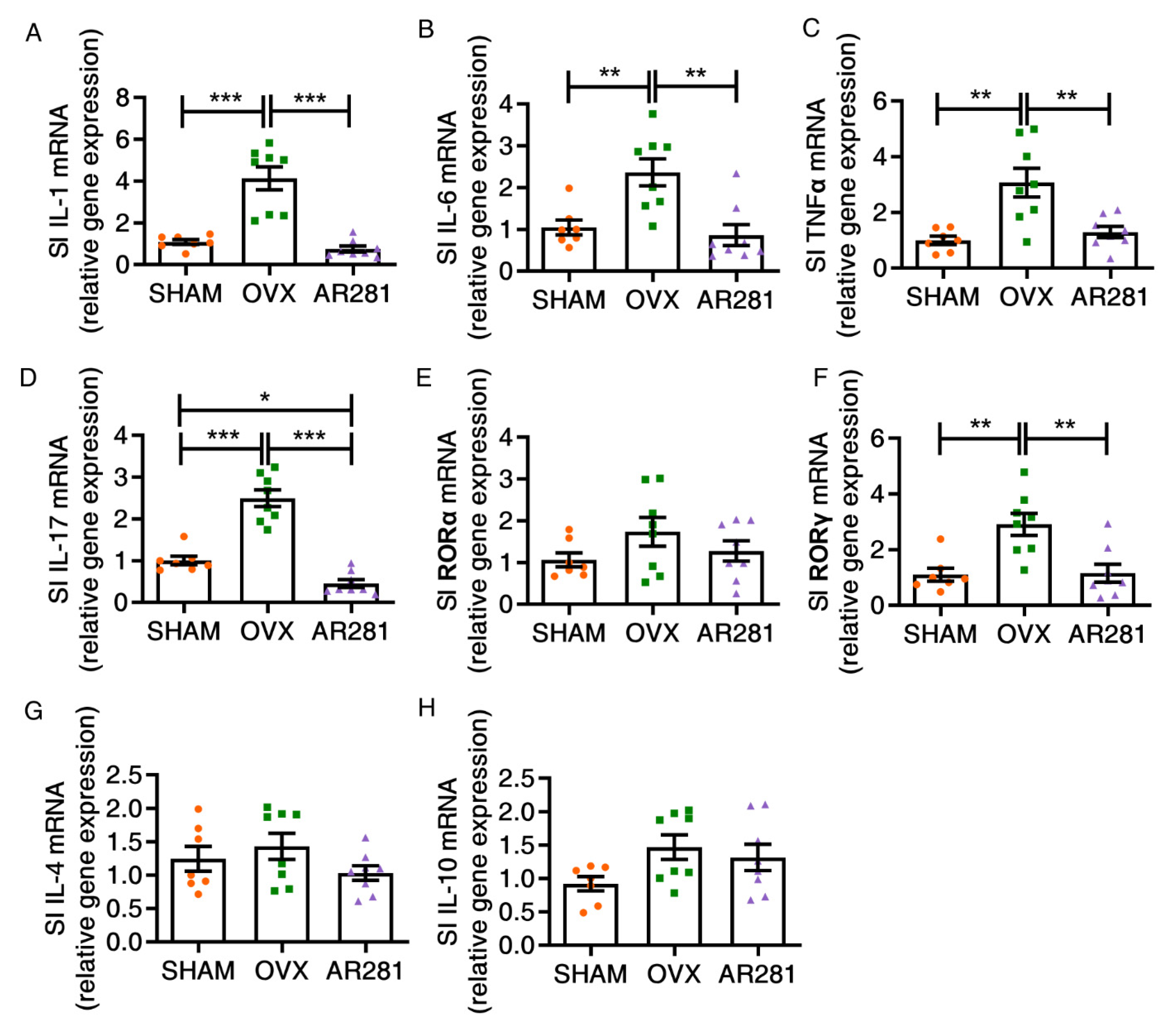 Biology 11 00359 g003 Biology 11 00359 g003