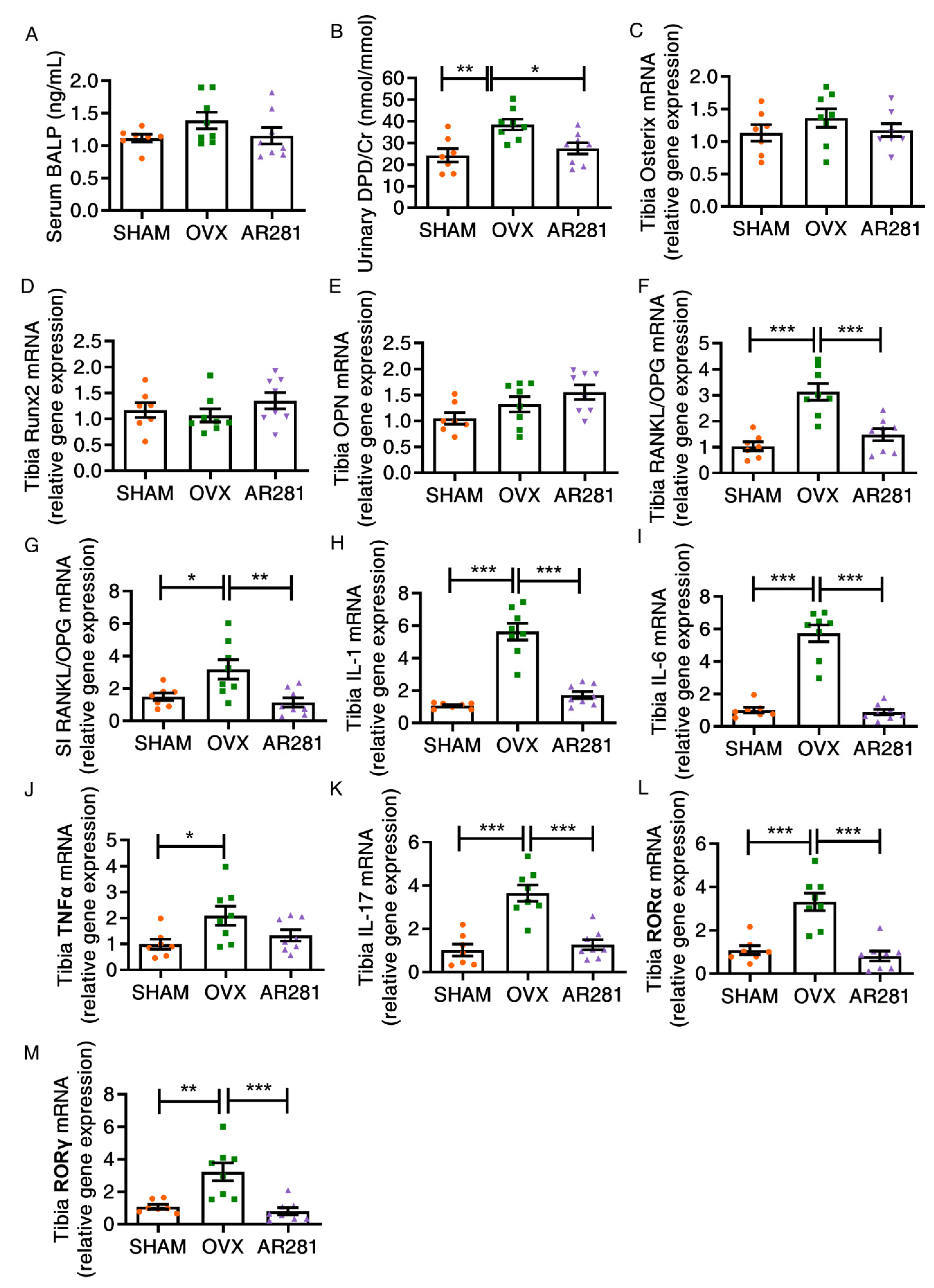 Biology 11 00359 g005 Biology 11 00359 g005