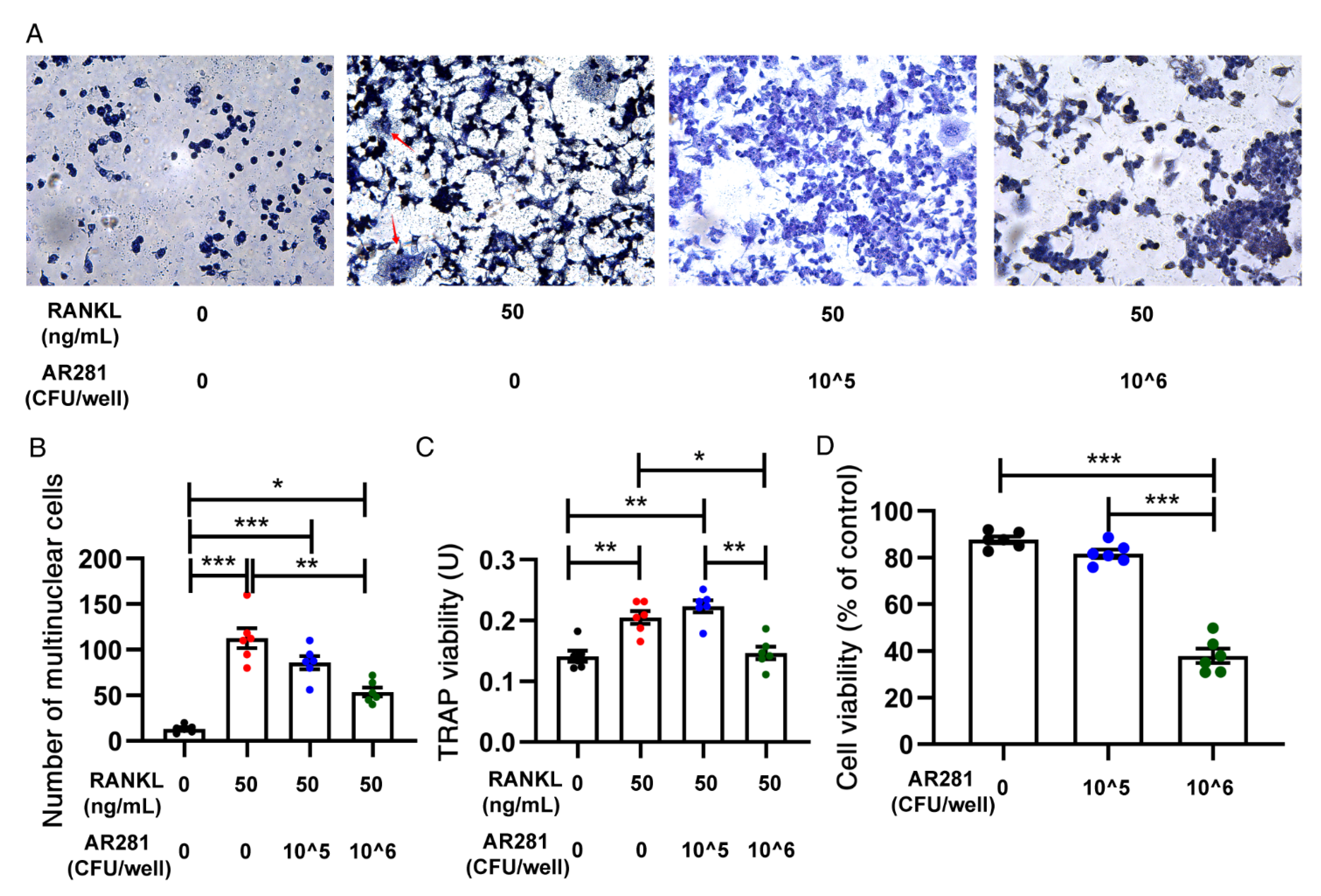 Biology 11 00359 g006 Biology 11 00359 g006