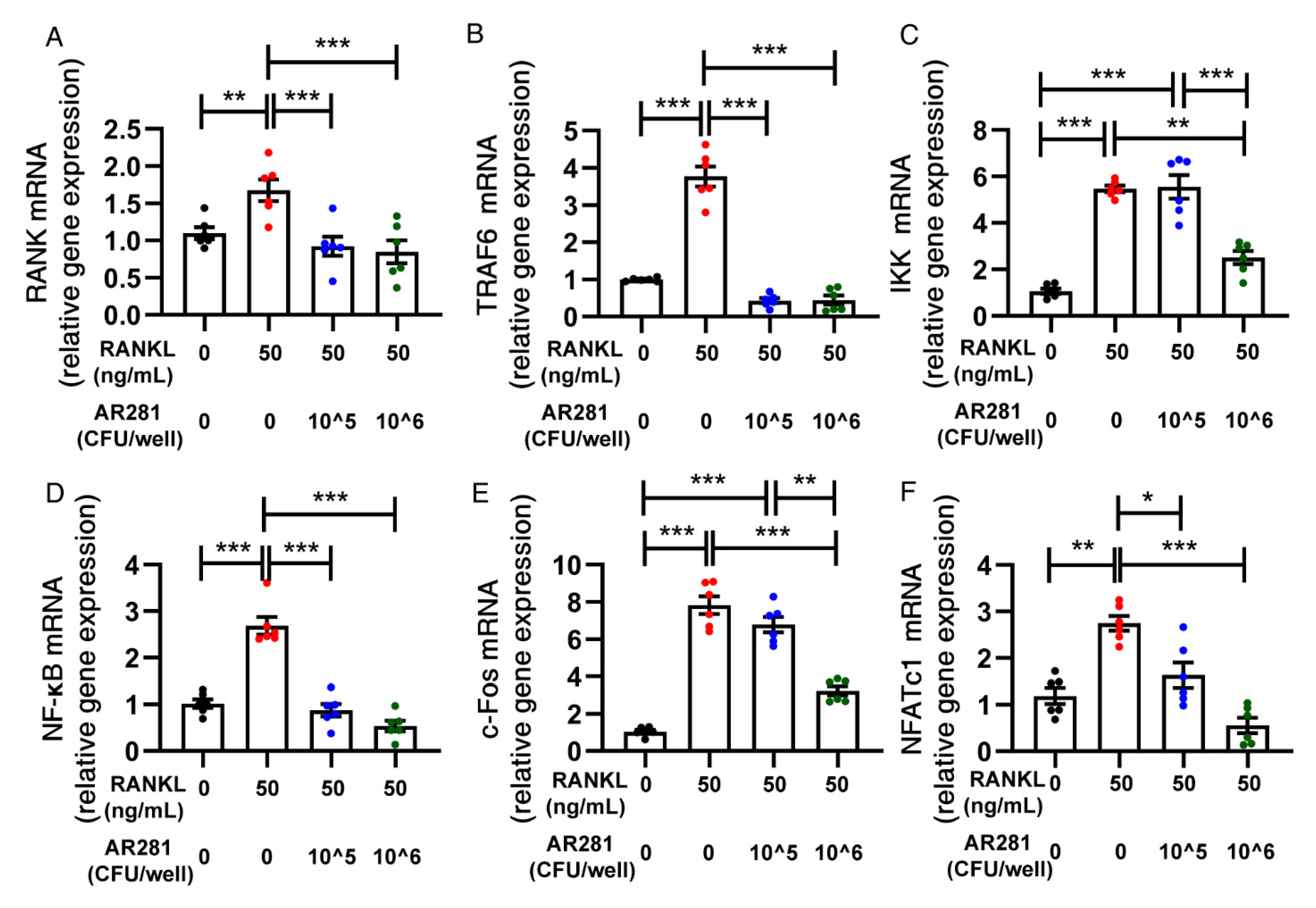 Biology 11 00359 g007 Biology 11 00359 g007