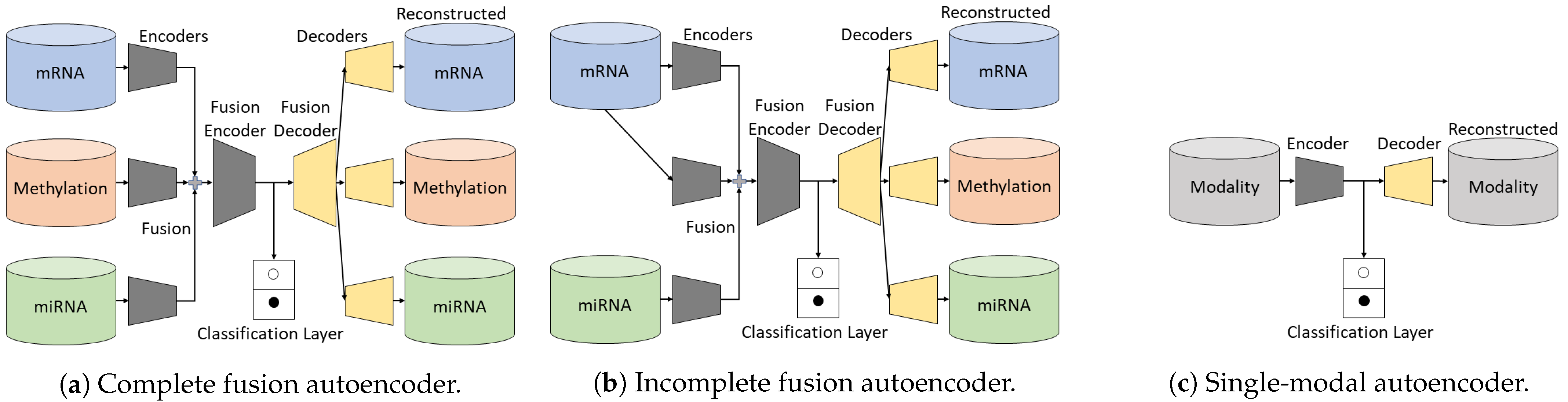 Biology 11 00360 g002 550
