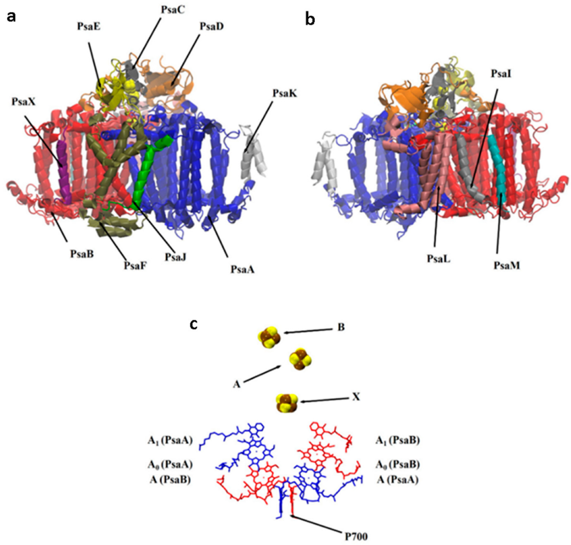 Biology 11 00362 g001 Biology 11 00362 g001