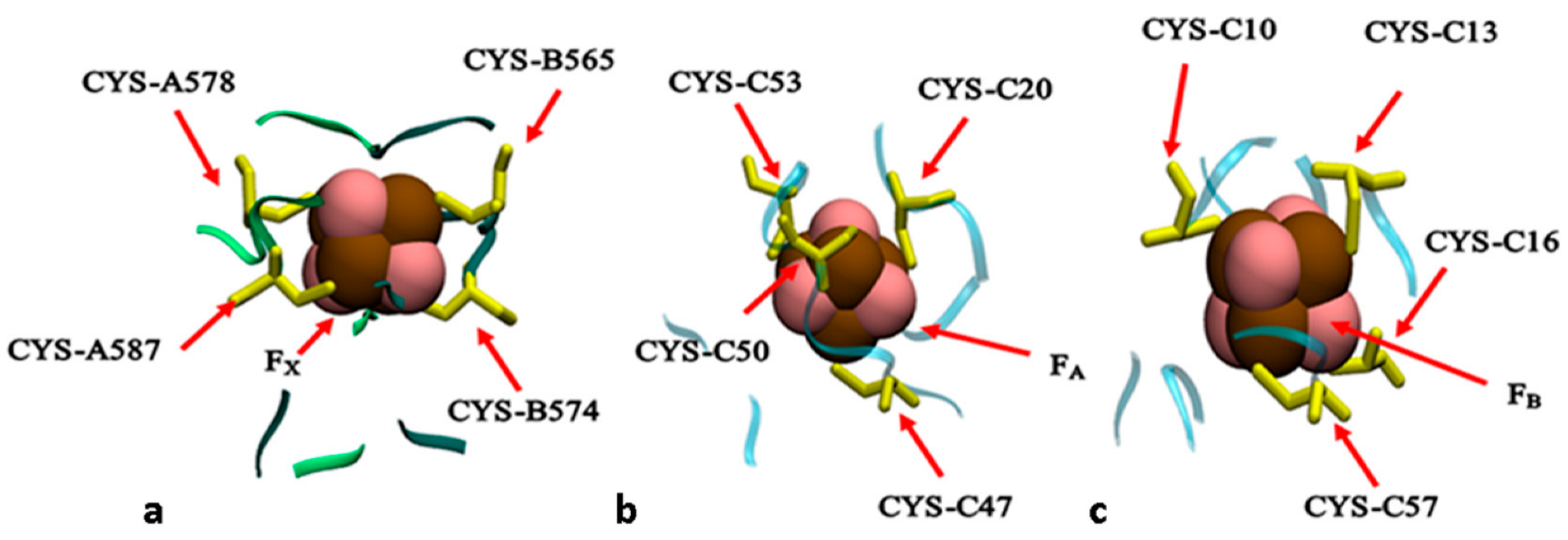 Biology 11 00362 g002 Biology 11 00362 g002