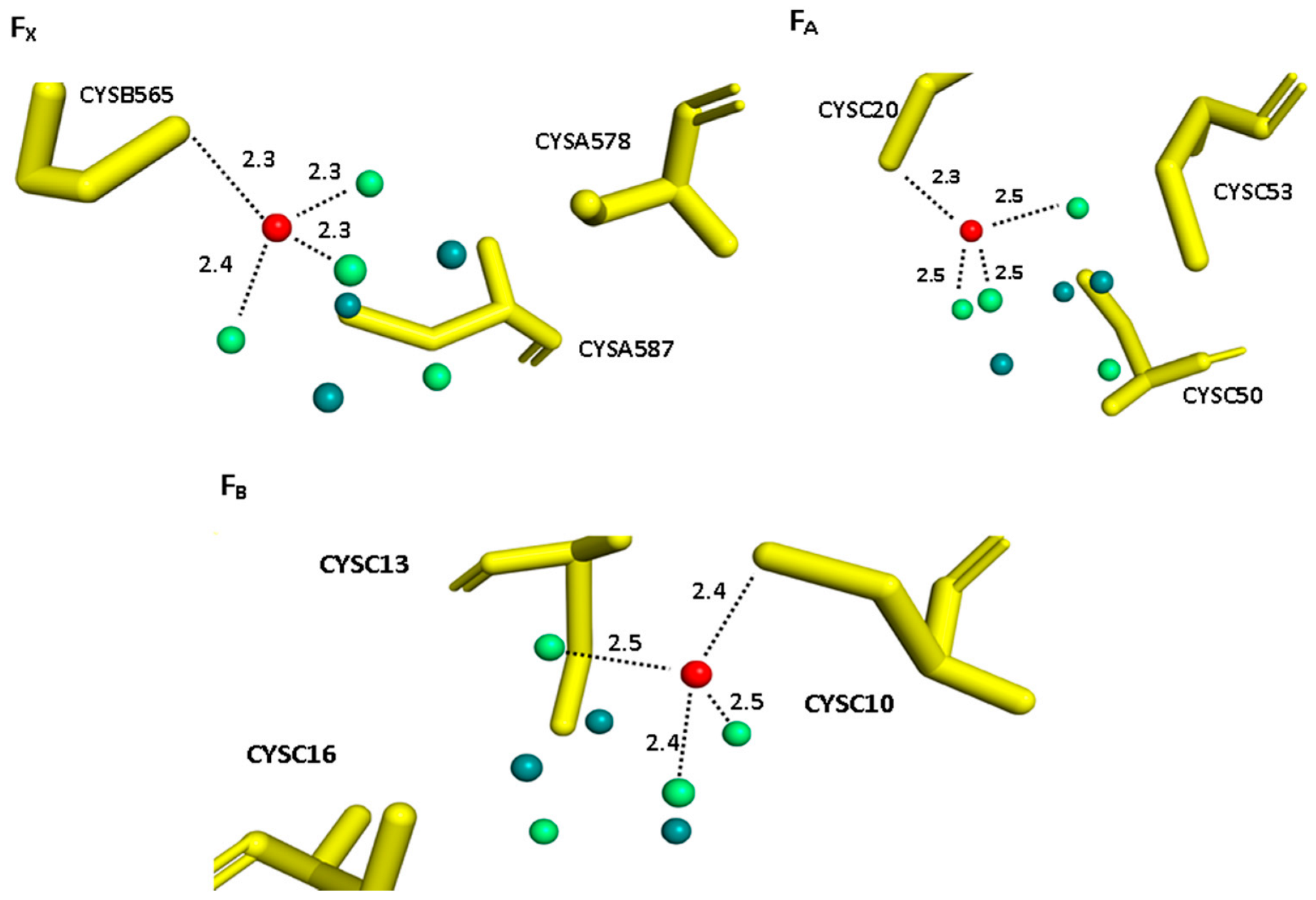 Biology 11 00362 g004 Biology 11 00362 g004