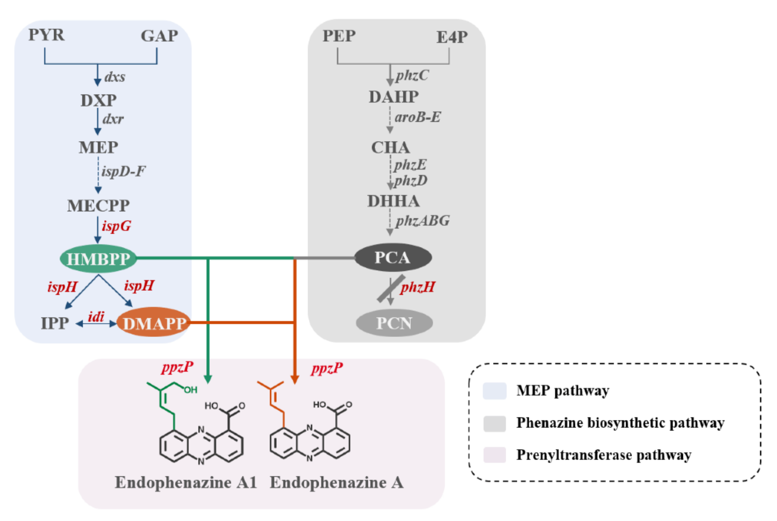Biology 11 00363 g001 Biology 11 00363 g001