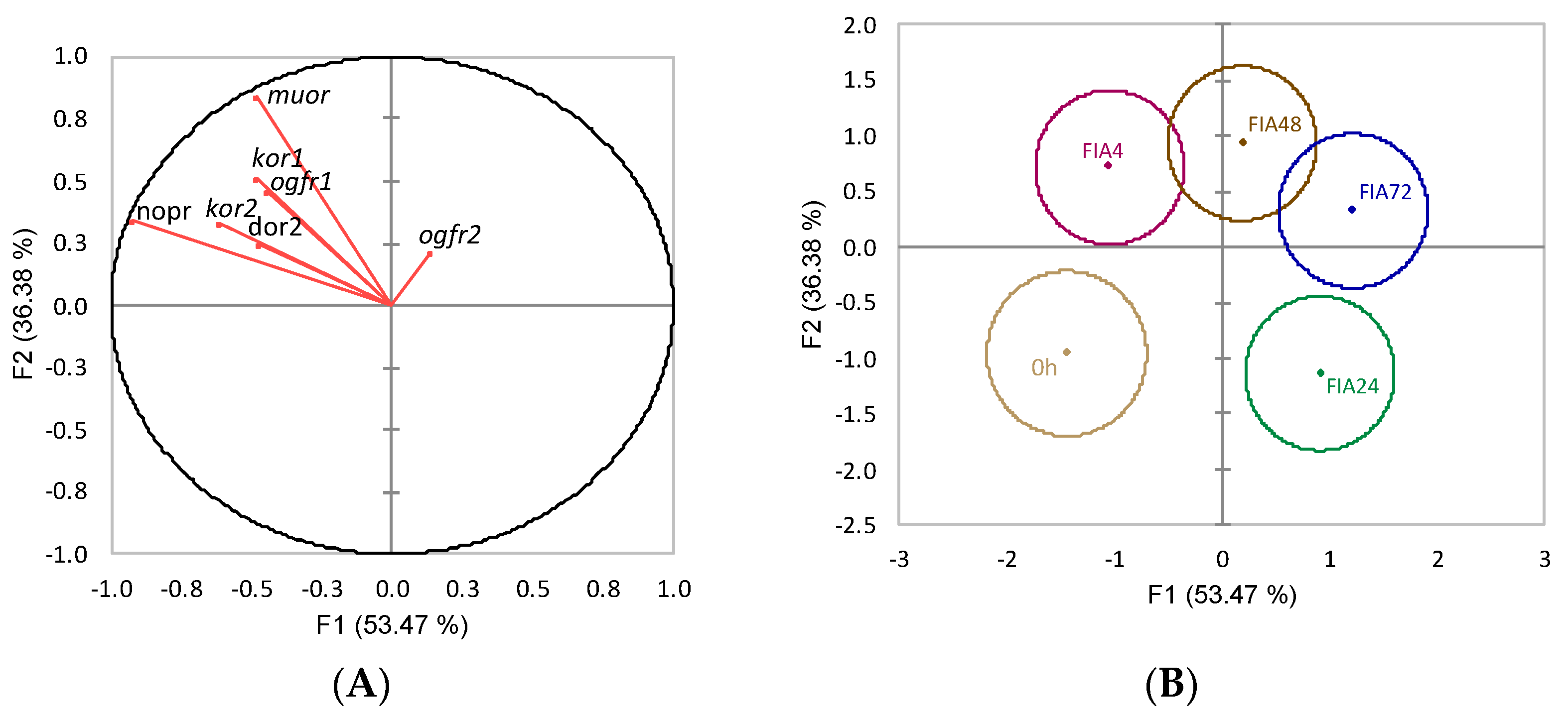 Biology 11 00364 g010