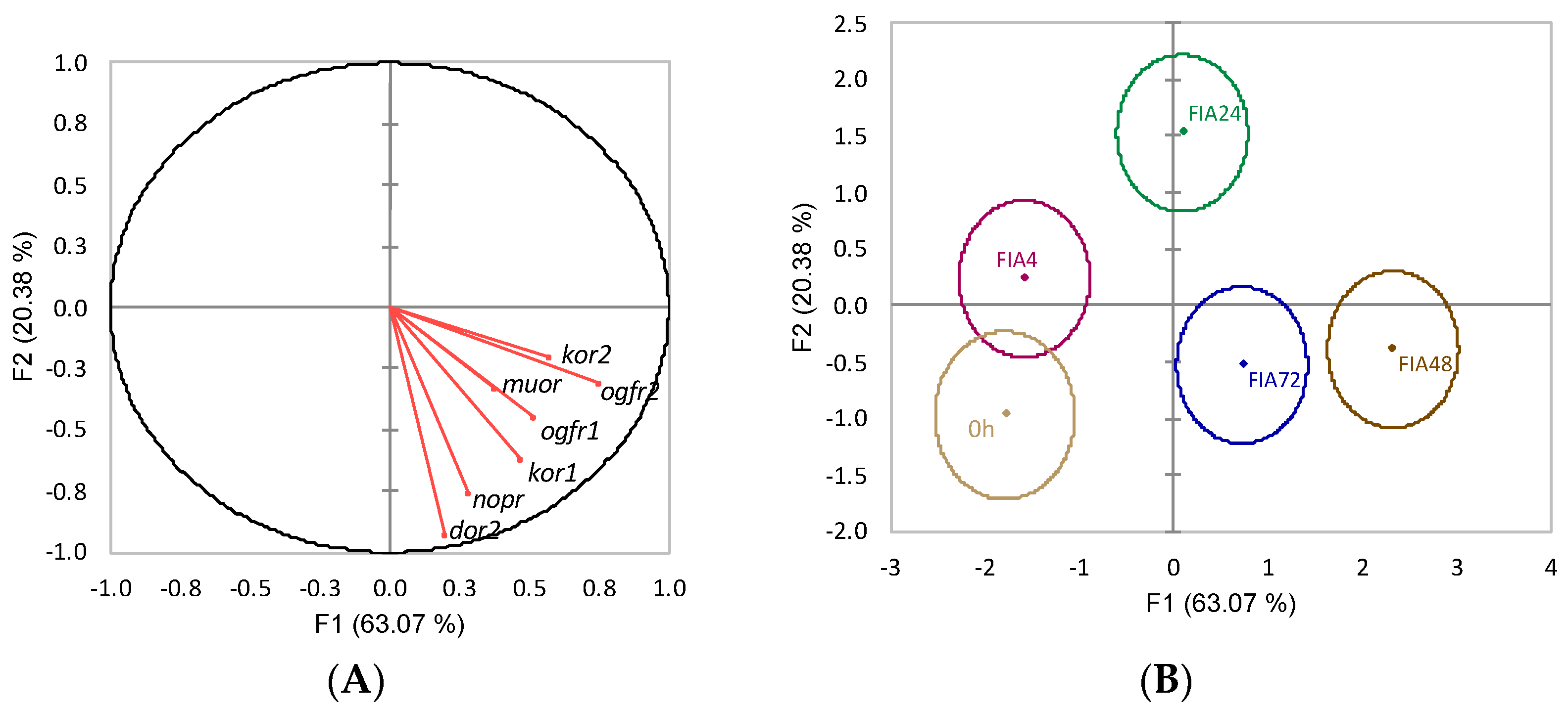 Biology 11 00364 g013