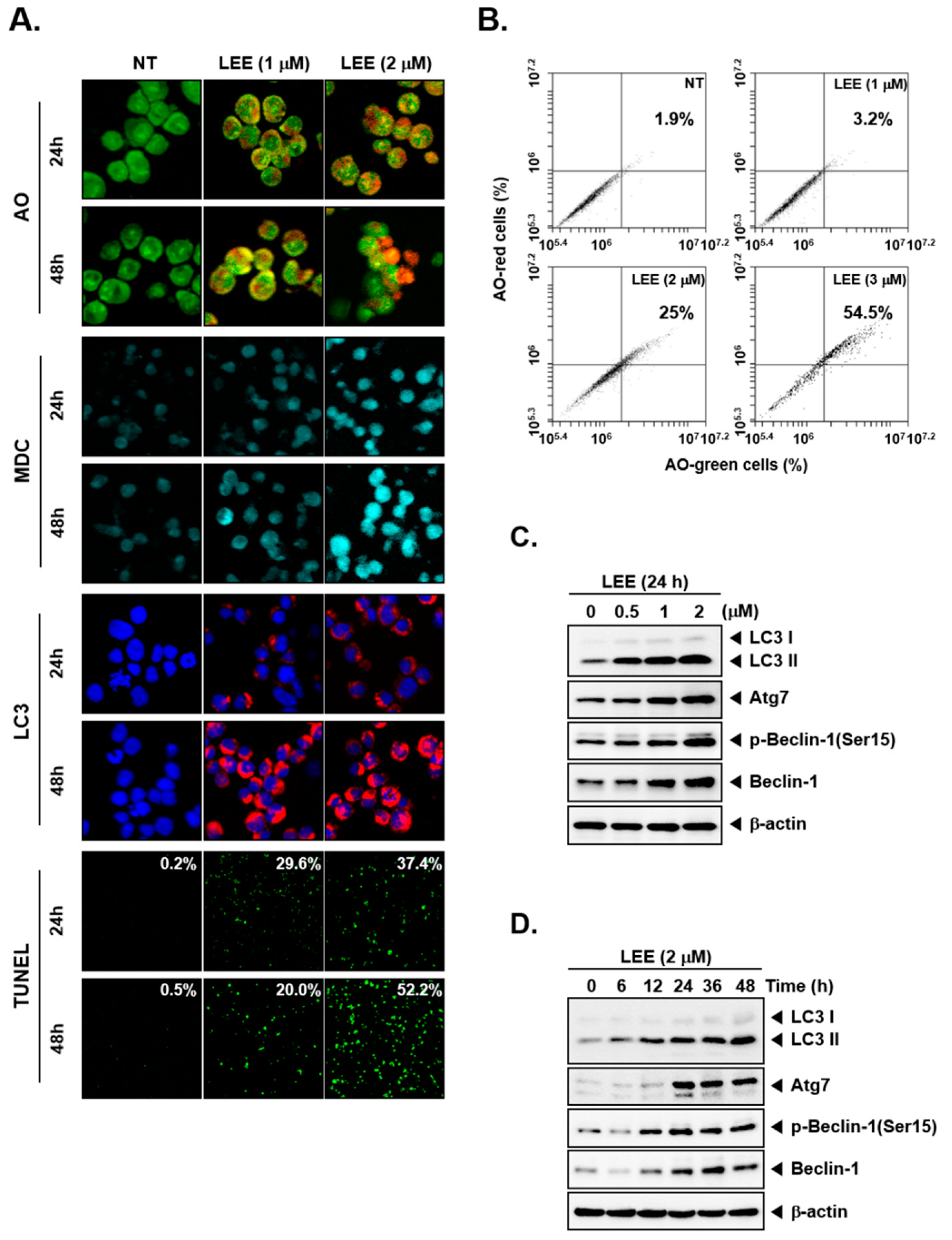 Biology 11 00366 g002