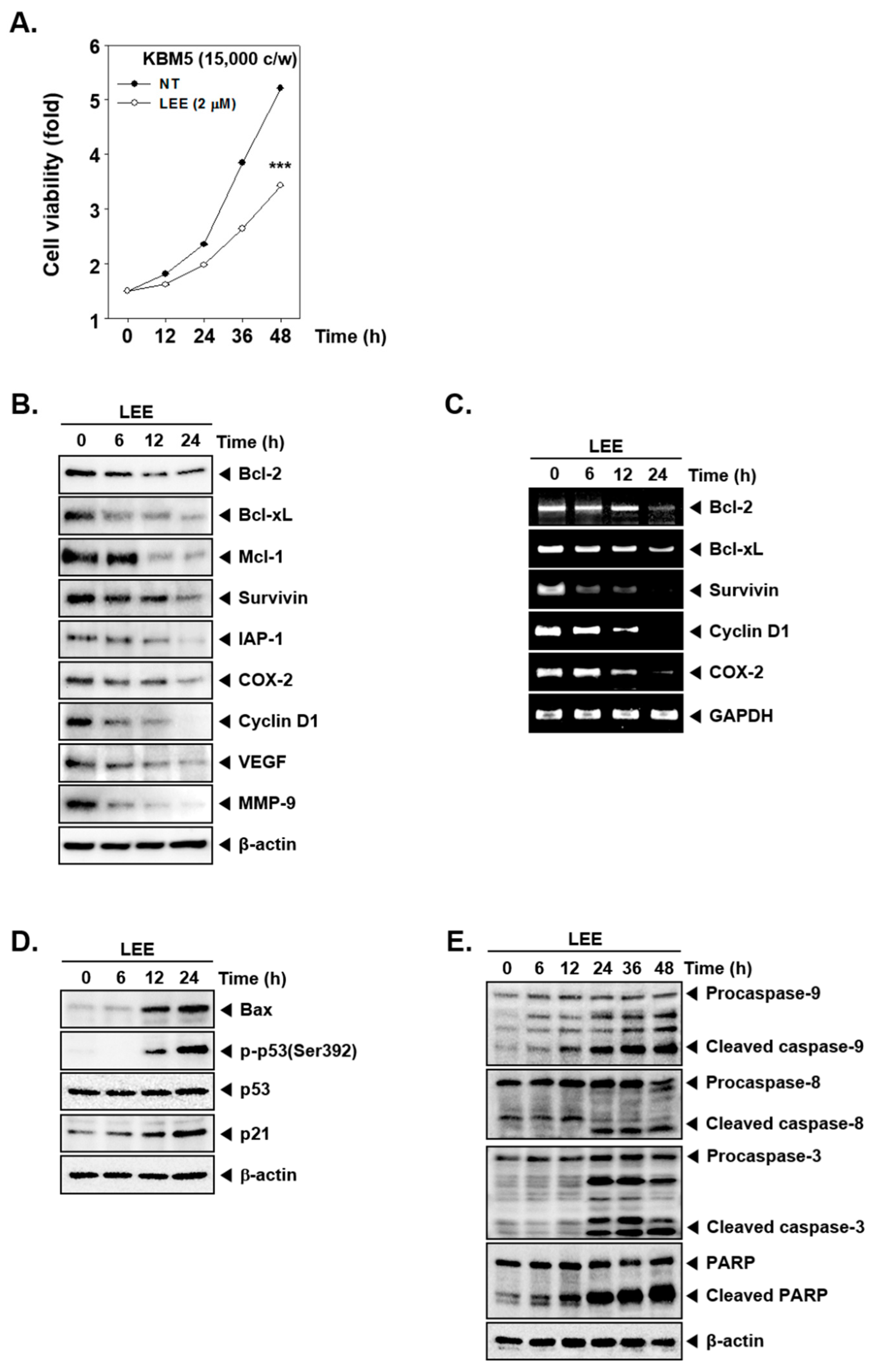 Biology 11 00366 g003
