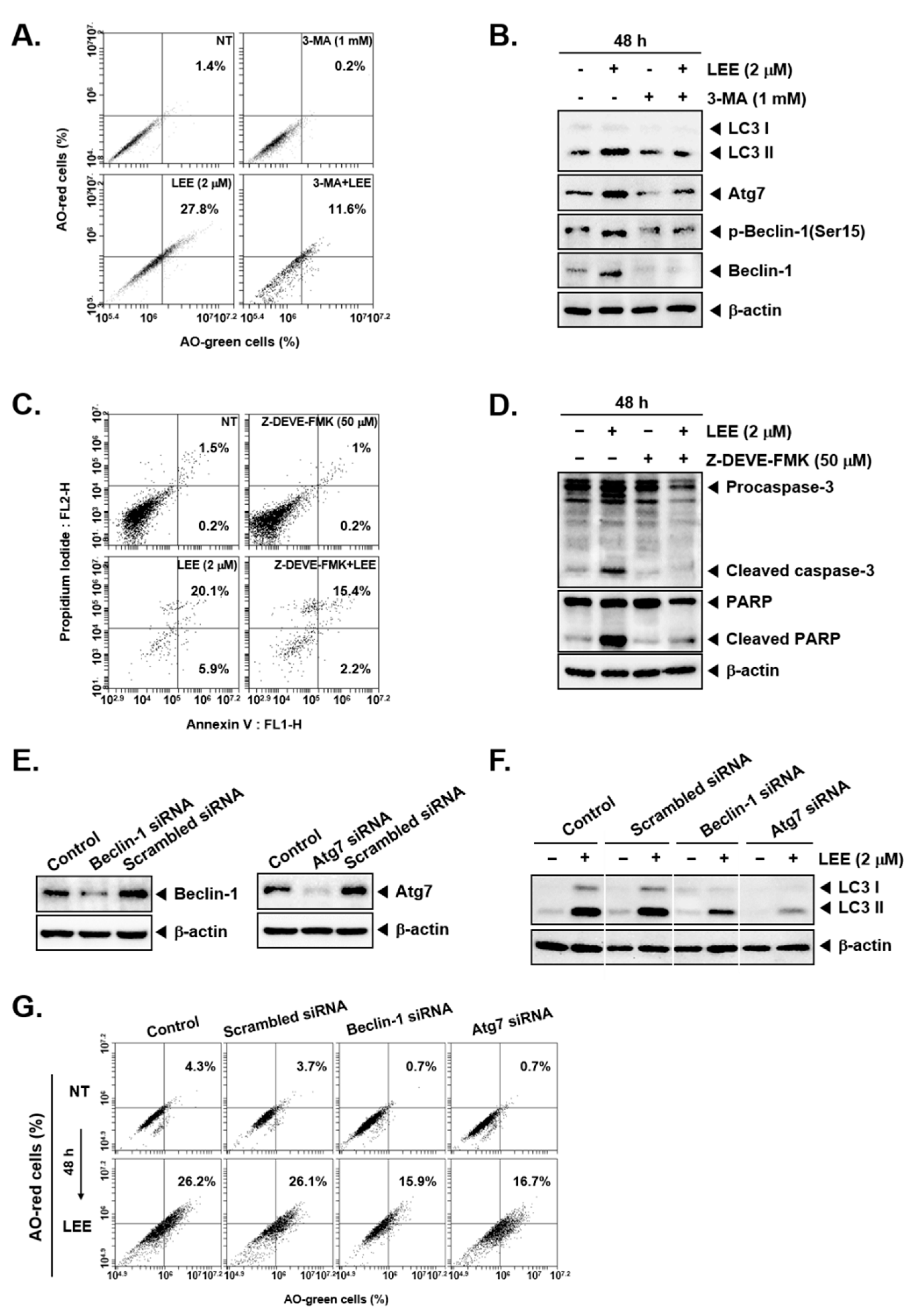 Biology 11 00366 g004