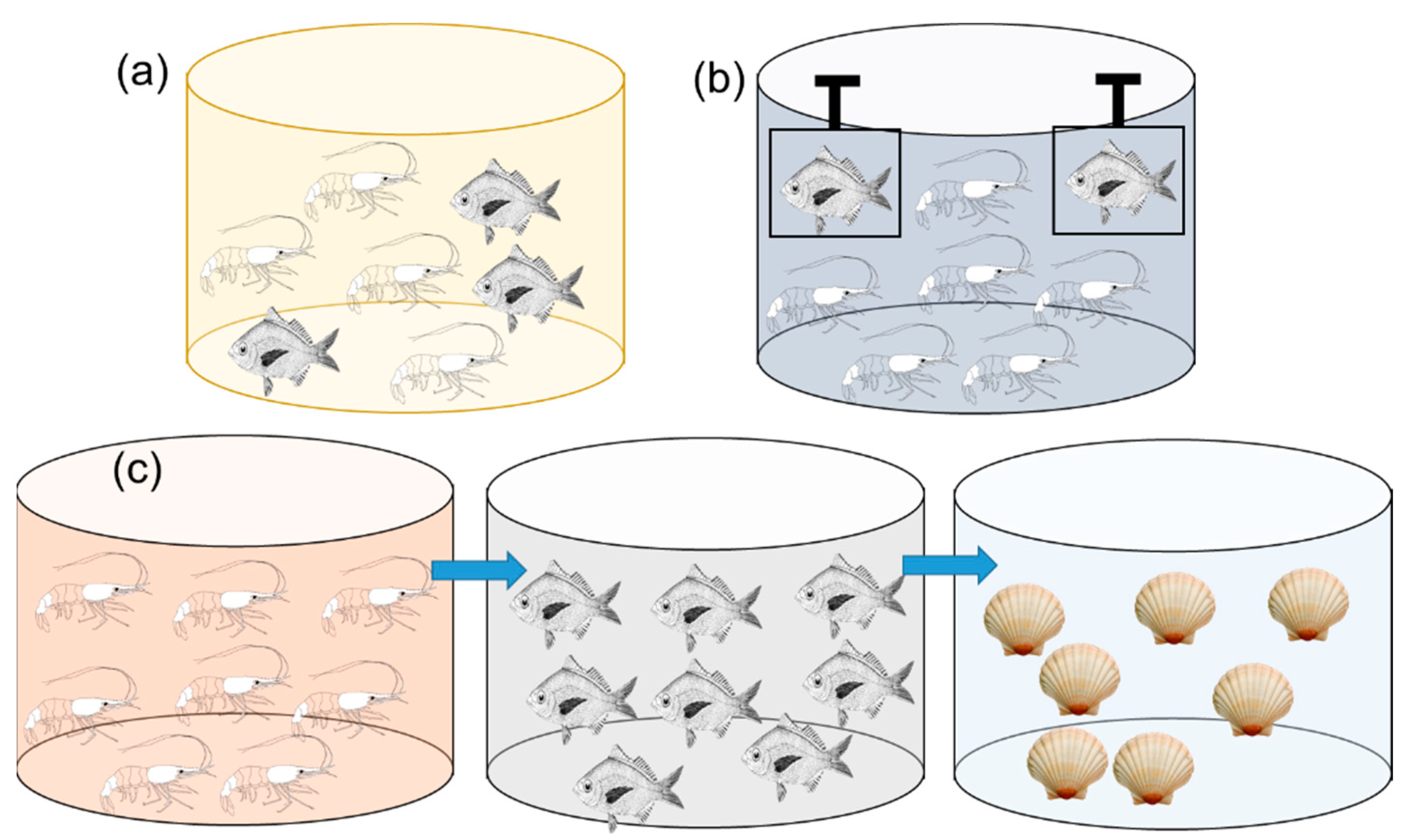 Biology 11 00368 g005