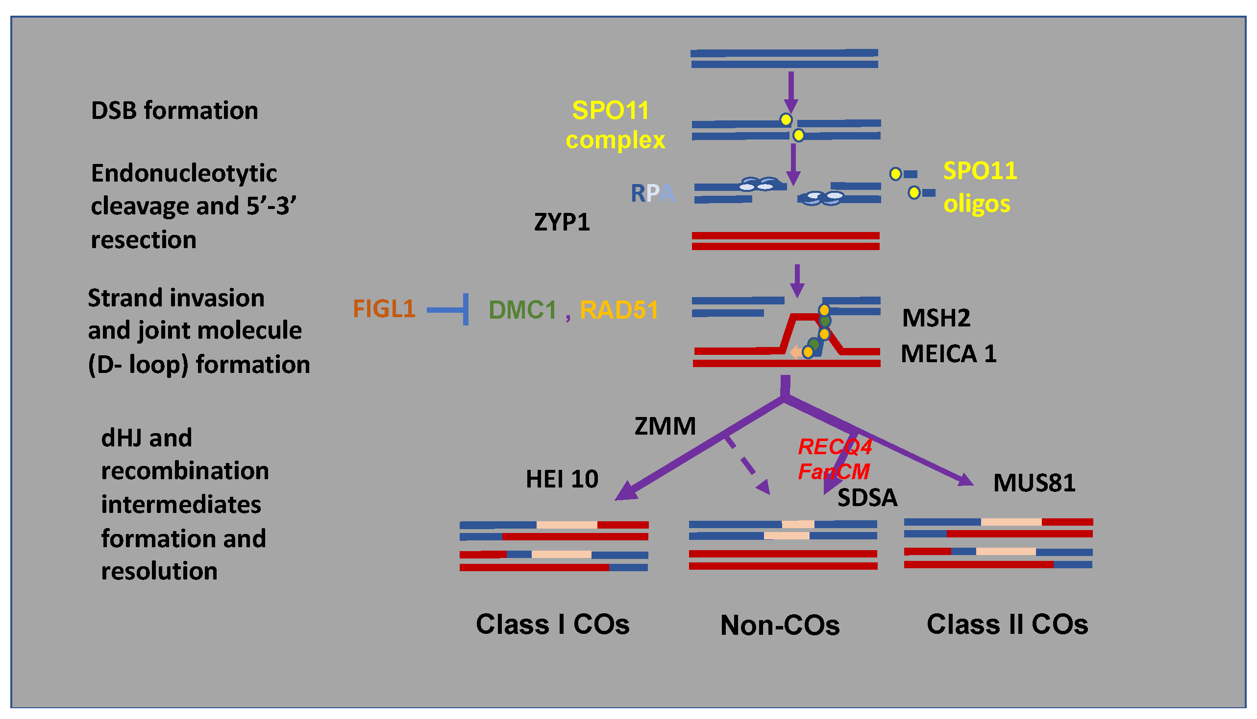 Biology 11 00369 g002
