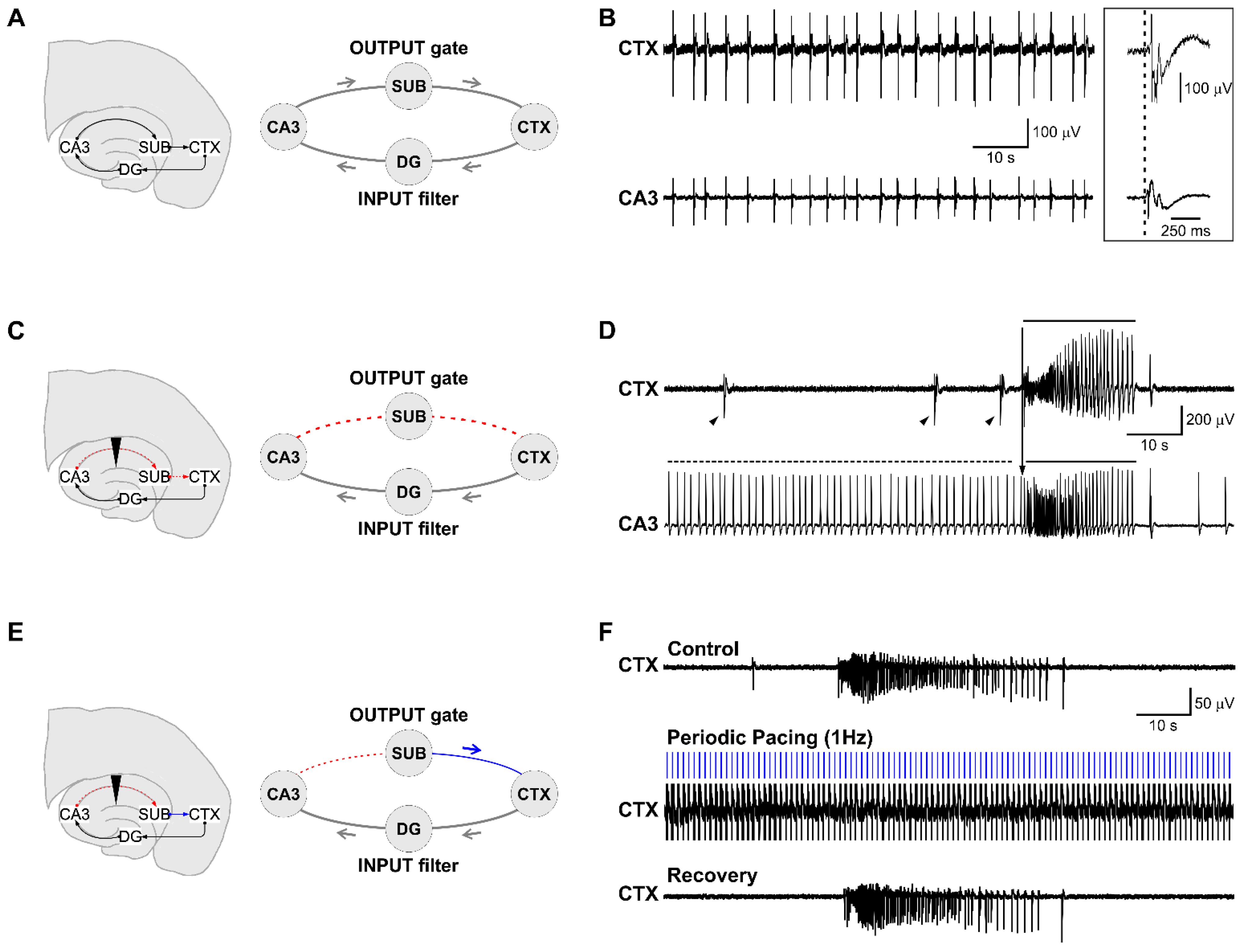 Biology 11 00371 g001 Biology 11 00371 g001