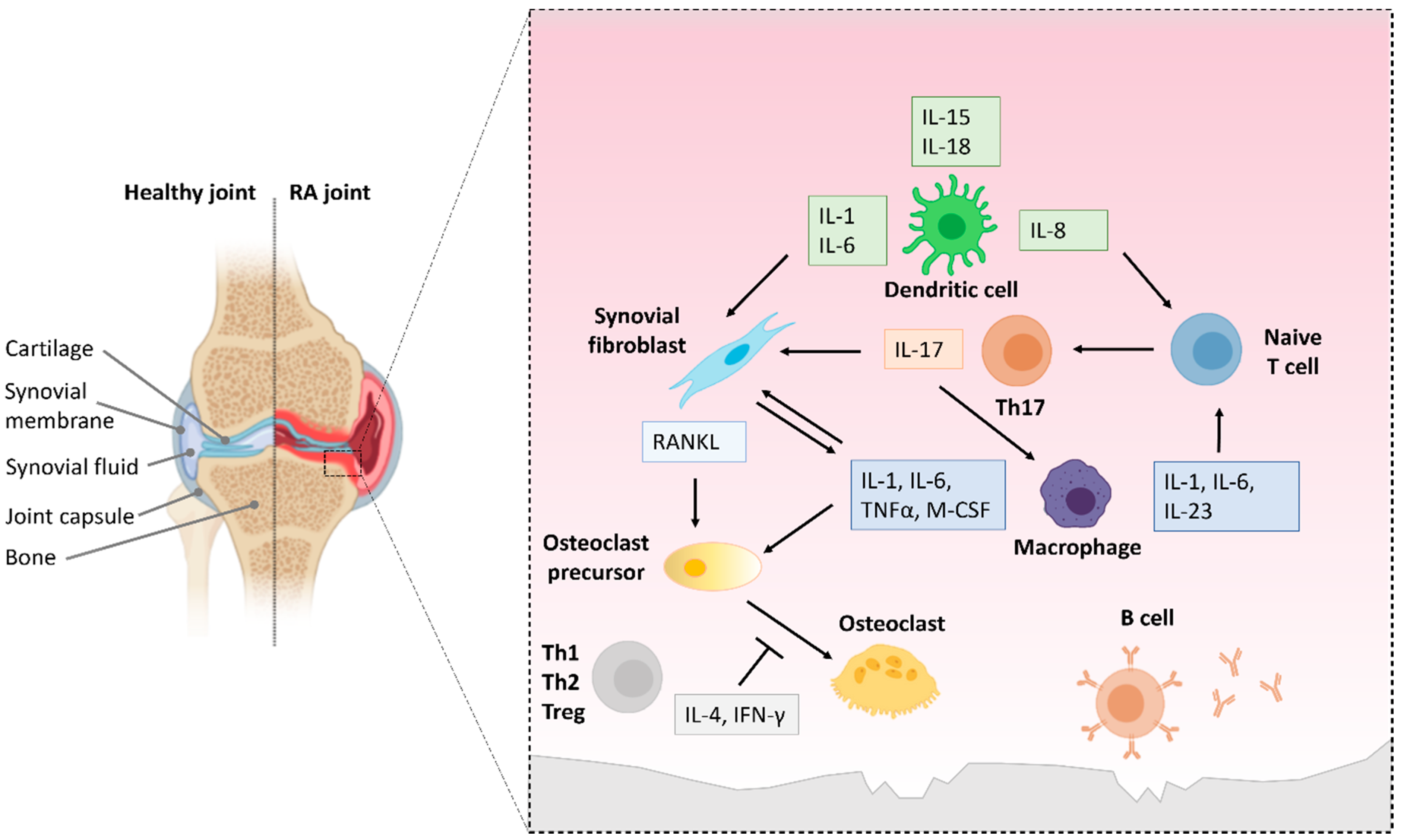 Biology 11 00372 g006 Biology 11 00372 g006