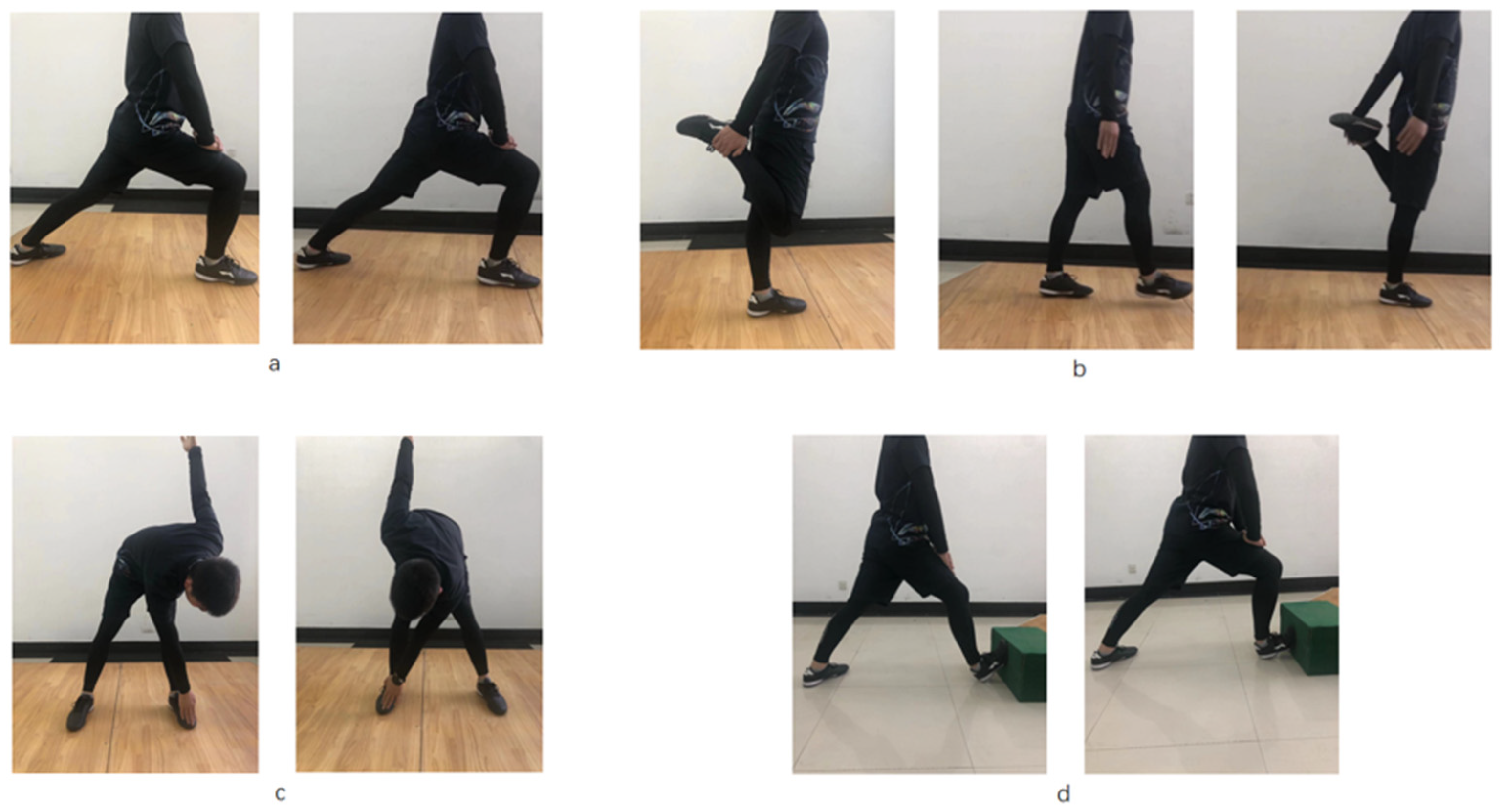 3075px x 1662px - Biology | Free Full-Text | Acute Effects of Soleus Stretching on Ankle  Flexibility, Dynamic Balance and Speed Performances in Soccer Players