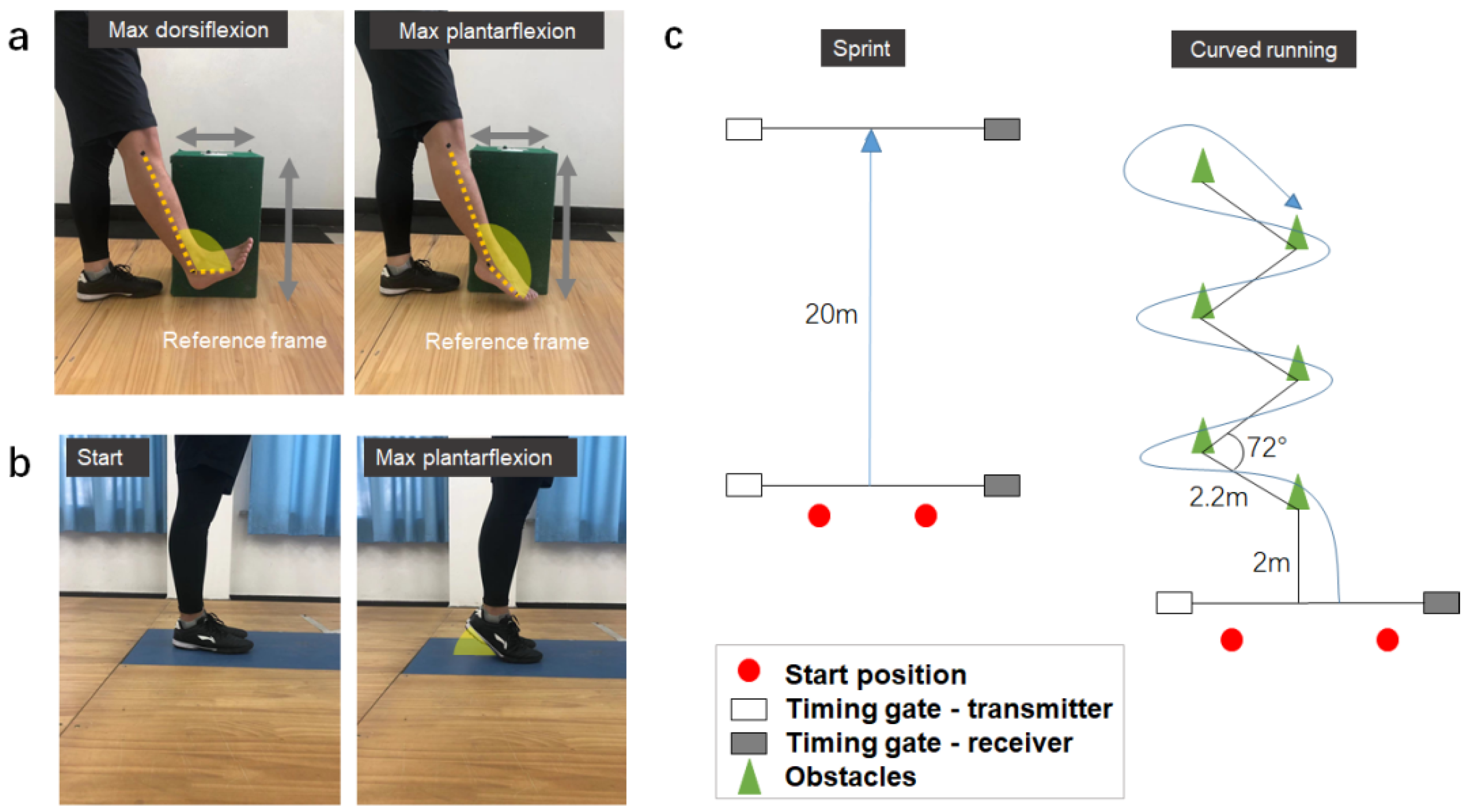 Biology 11 00374 g002 Biology 11 00374 g002