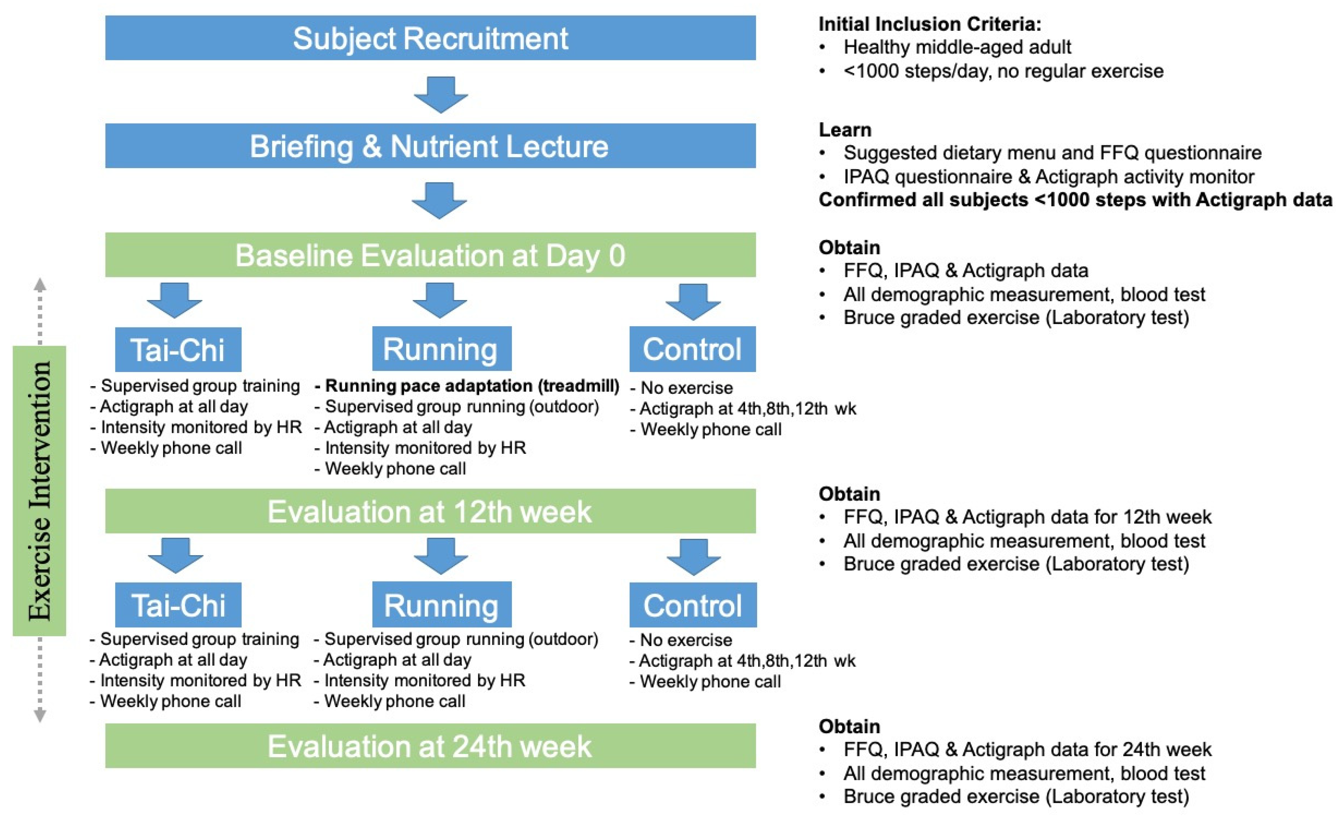 Blue Protocol Holds a Project Recruitment Briefing, New Data-Mined Info  Surfaces