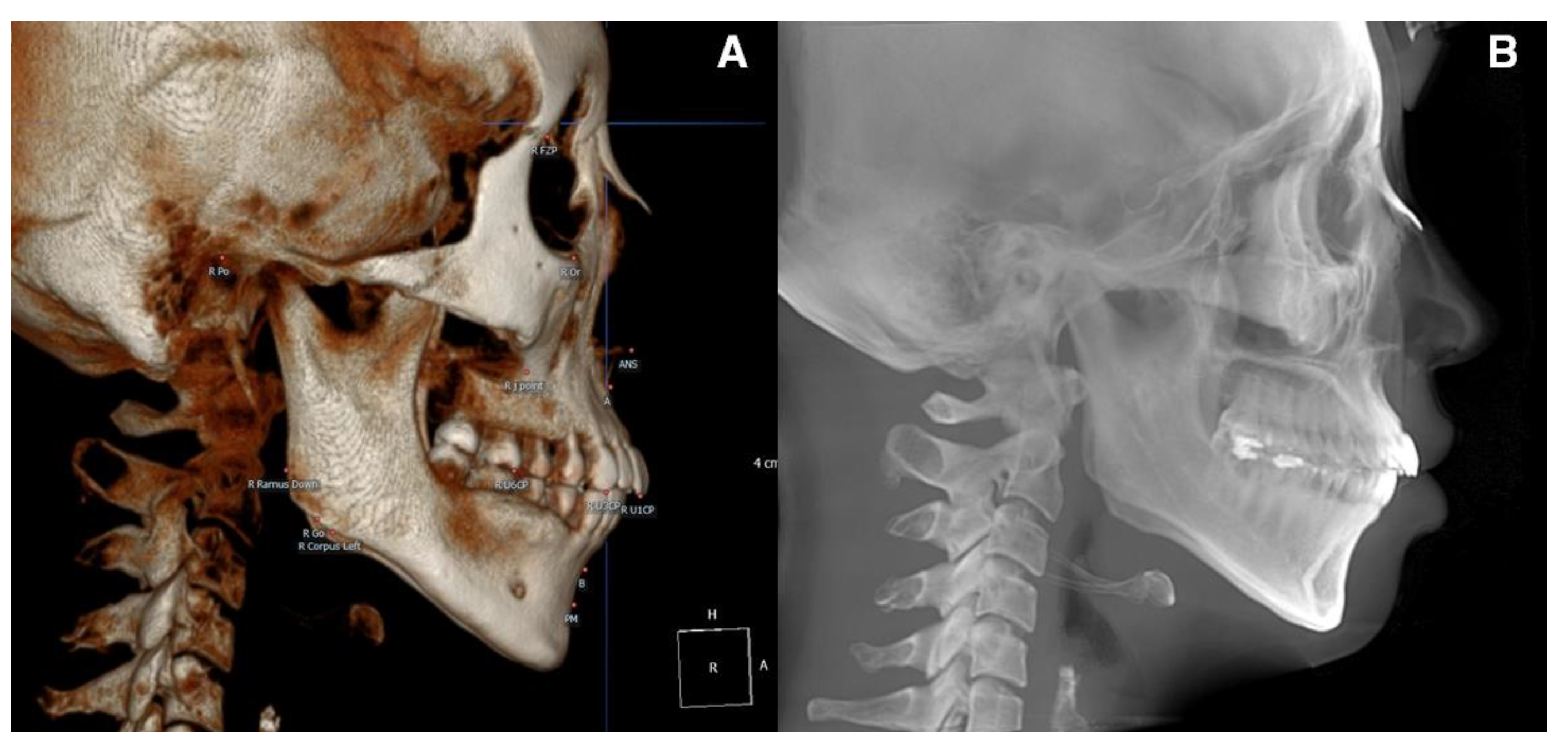 Biology 11 00381 g001 550