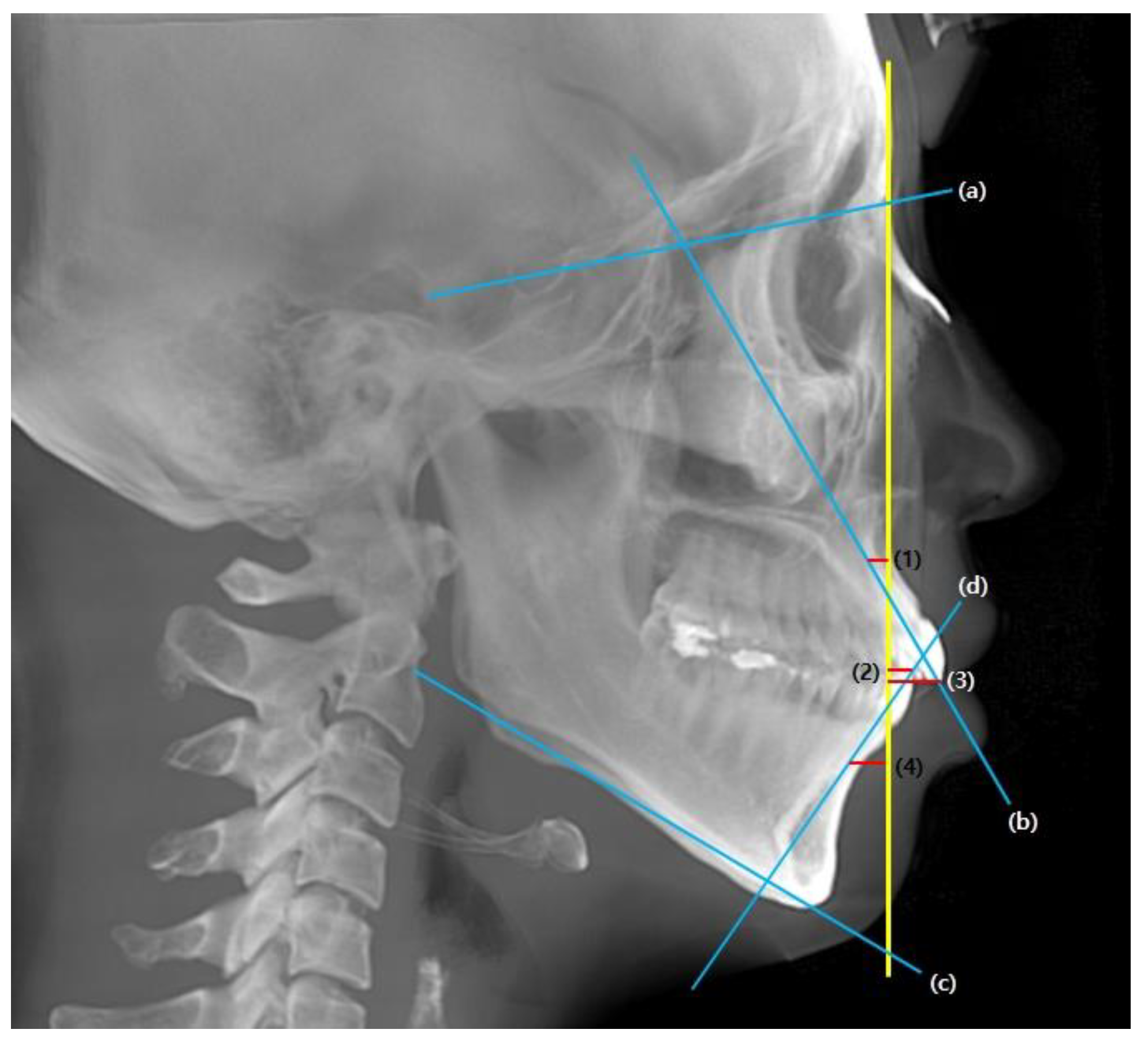 Biology 11 00381 g002 550