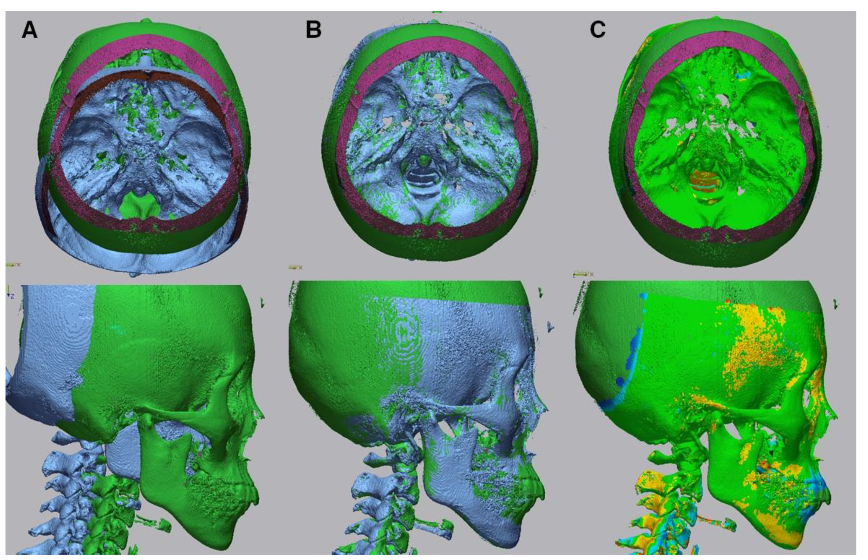 Biology 11 00381 g004 550