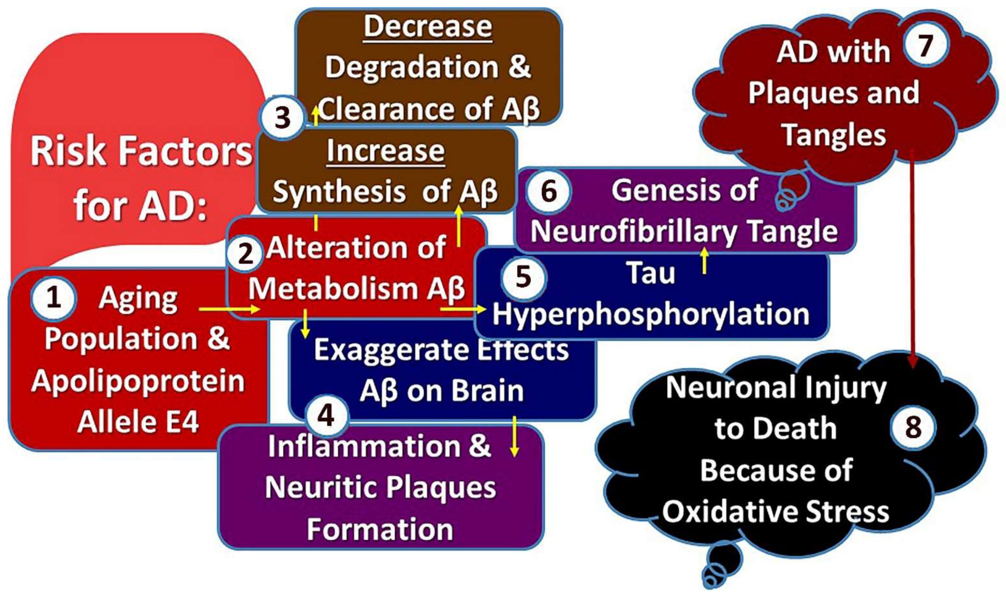 Biology 11 00382 g002