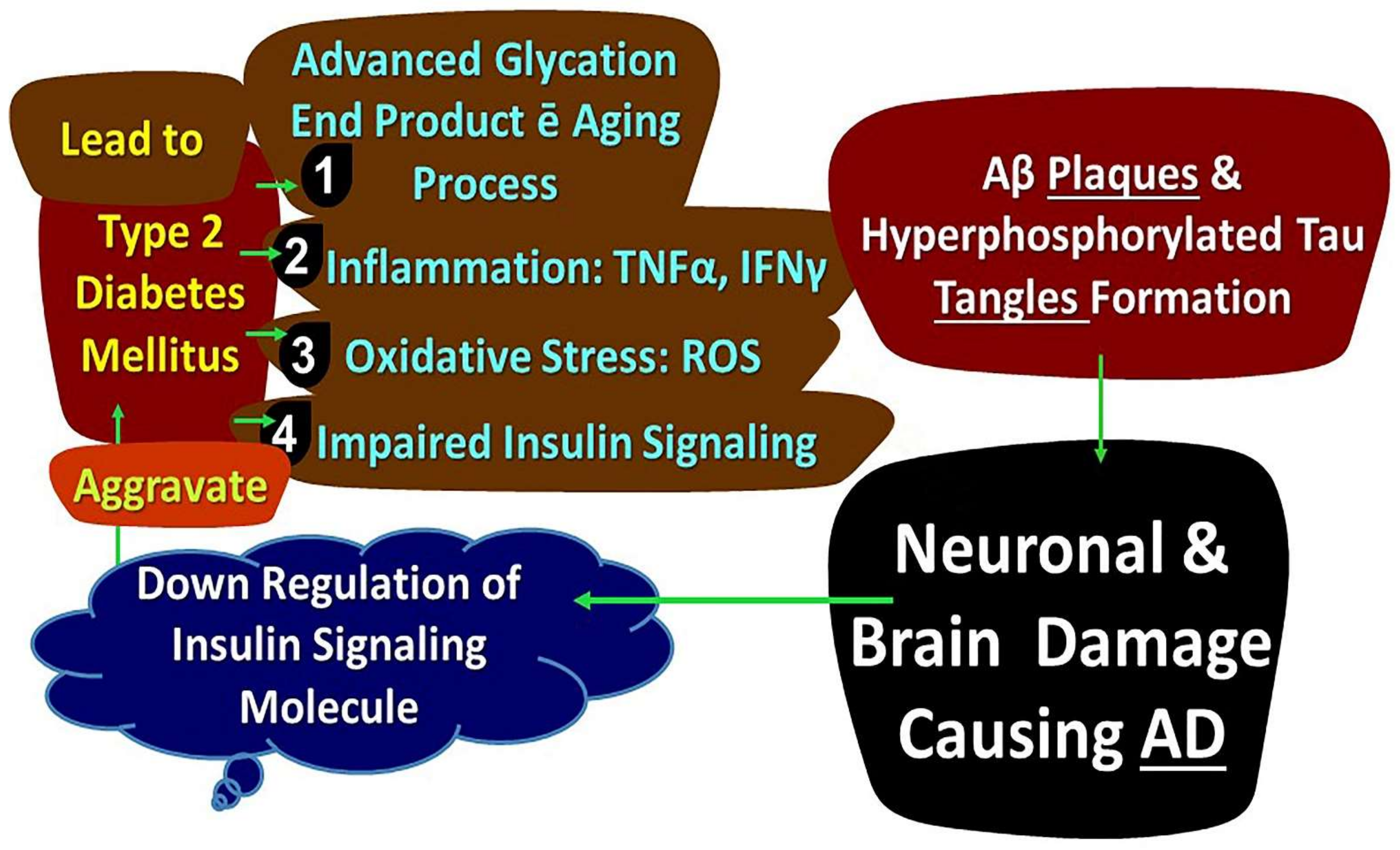 Biology 11 00382 g004