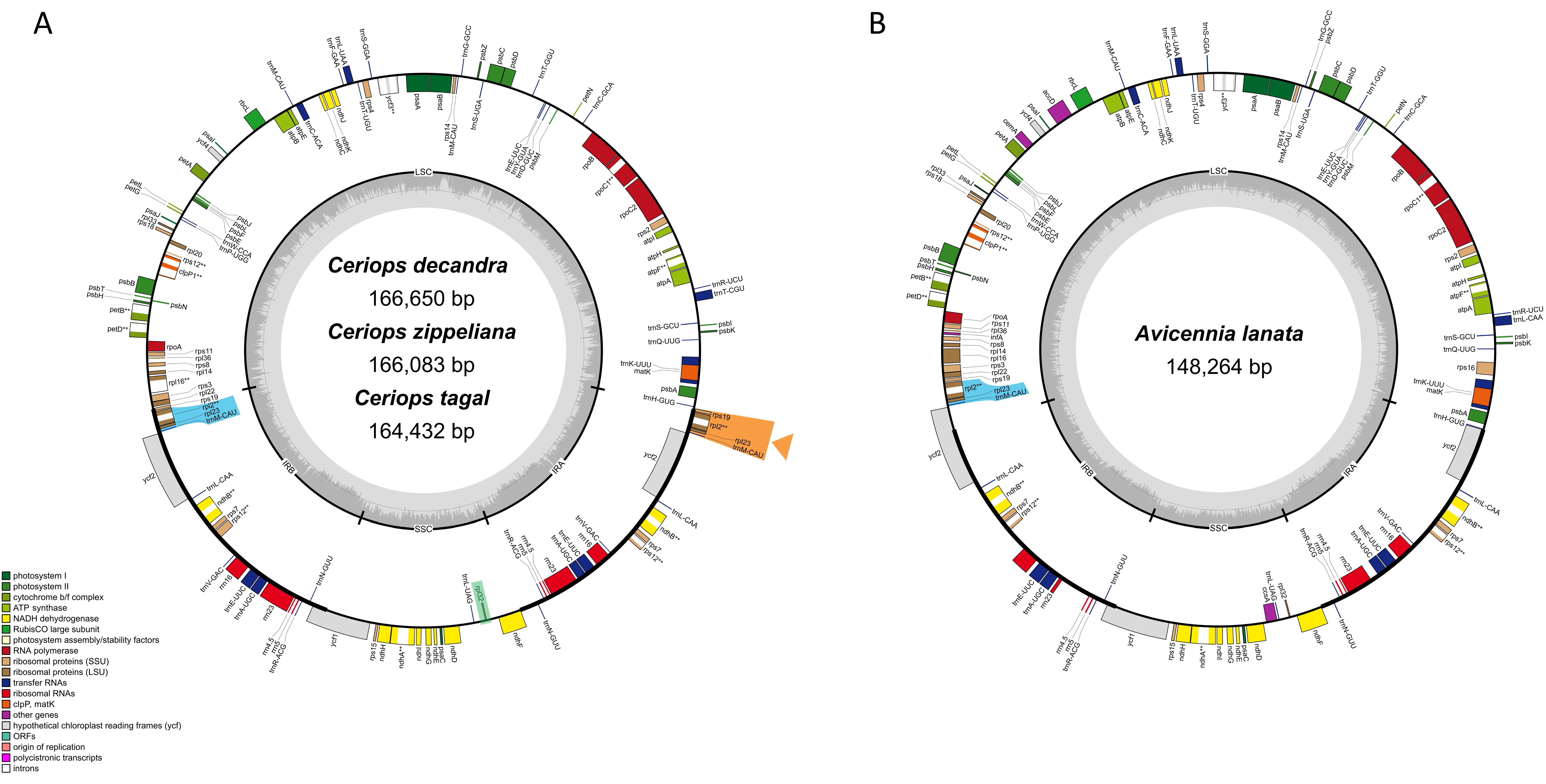 Biology 11 00383 g001 Biology 11 00383 g001